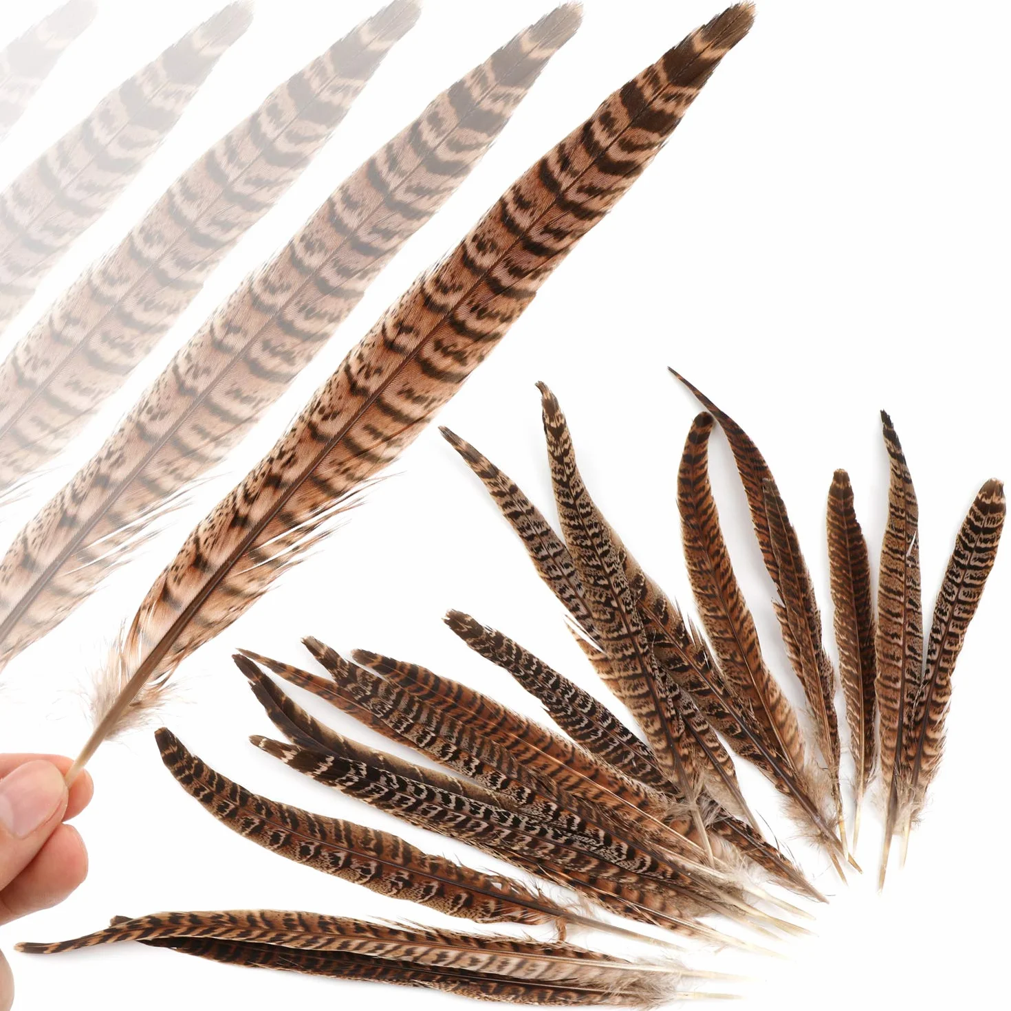 MWOOT plumas de cola de faisán naturales 20pcs 25-30cm decoración ara boda, fiestas de cumpleaños