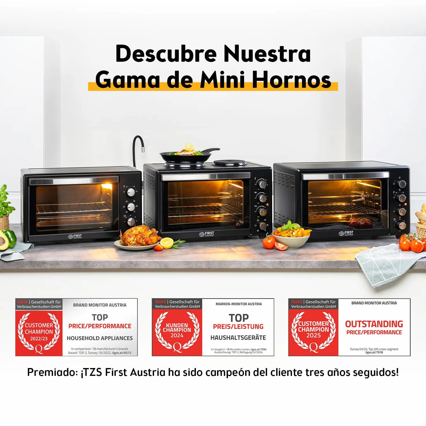 TZS First Austria - Mini Horno 45L 2000W - Minihorno para pizza hasta 230°C y revestimiento antiadherente - Con temporizador 60 min, 4 alturas de inserción, bandeja, rejilla y asador giratorio