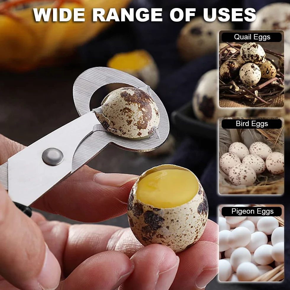 Tijeras Huevos Codorniz, Tijeras de Corte de Cáscara de Huevo de Acero Inoxidable, Utensilios de Cocina Abridor para Hogar Codorniz Huevos Tijeras Huevo Cortador