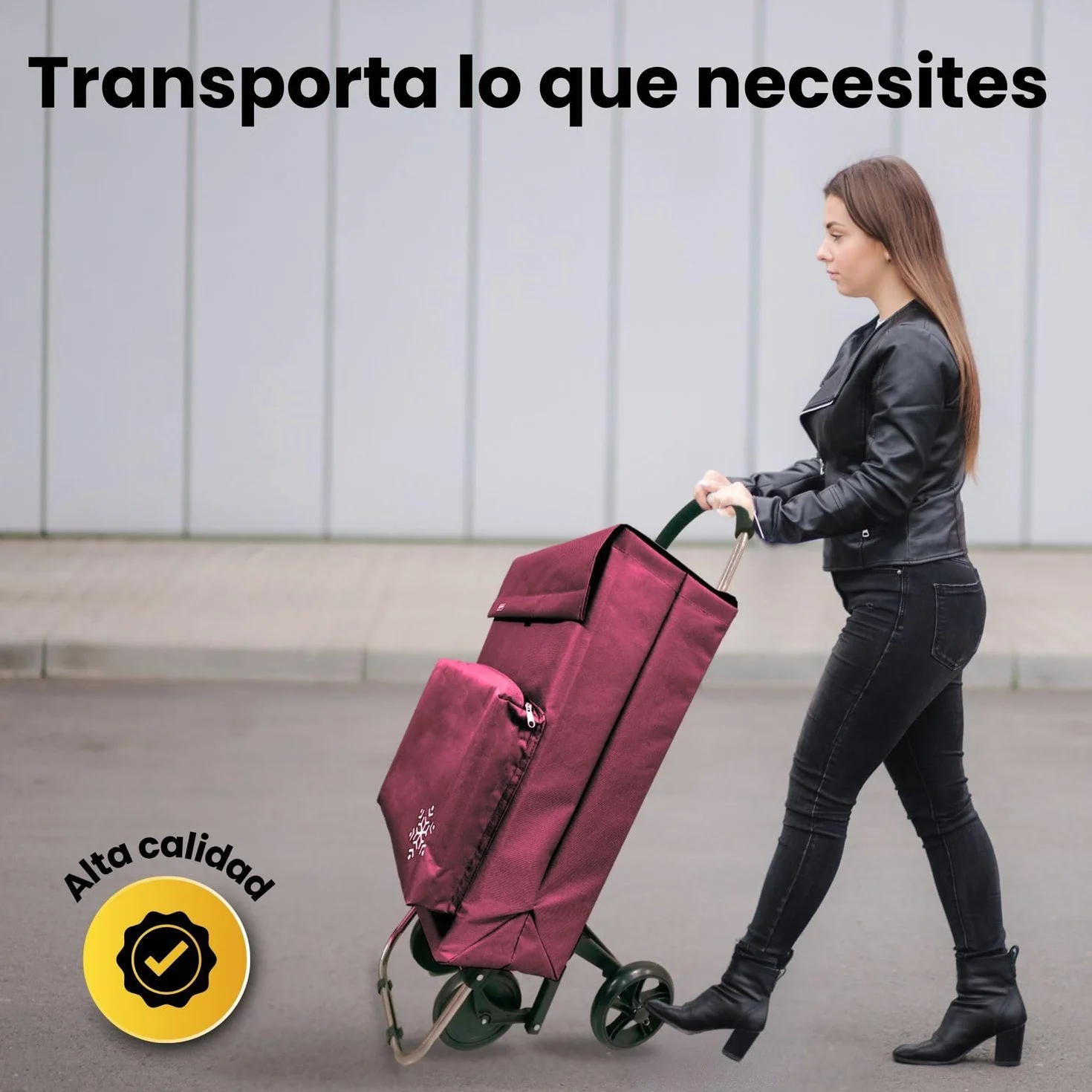 Carro de la Compra 50L con Compartimento Refrigerante y Gancho, 4+2 Ruedas Ideal Supermercado Granate