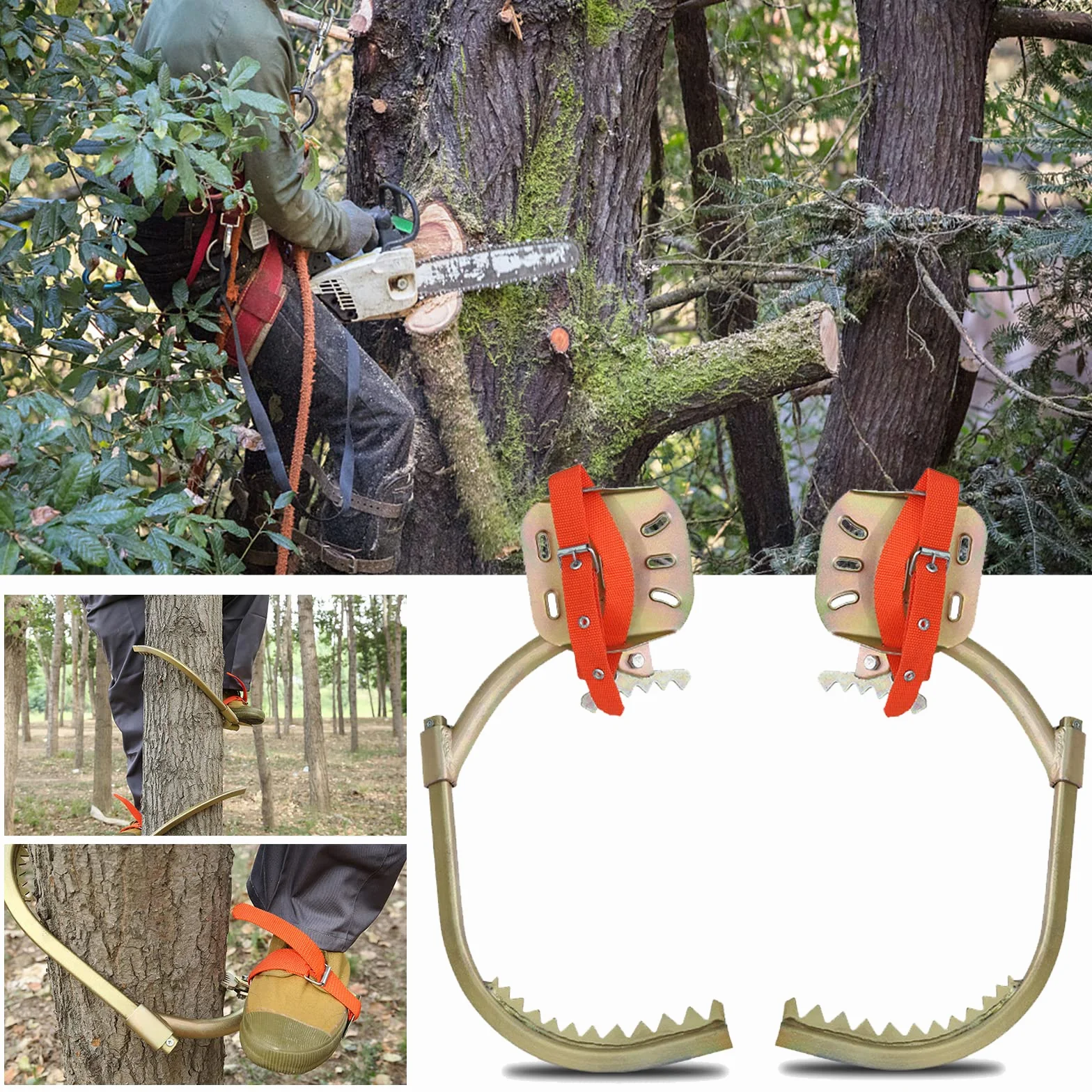 Crampones forestales para árboles con cinturón de seguridad, equipo de escalada para trabajadores eléctricos