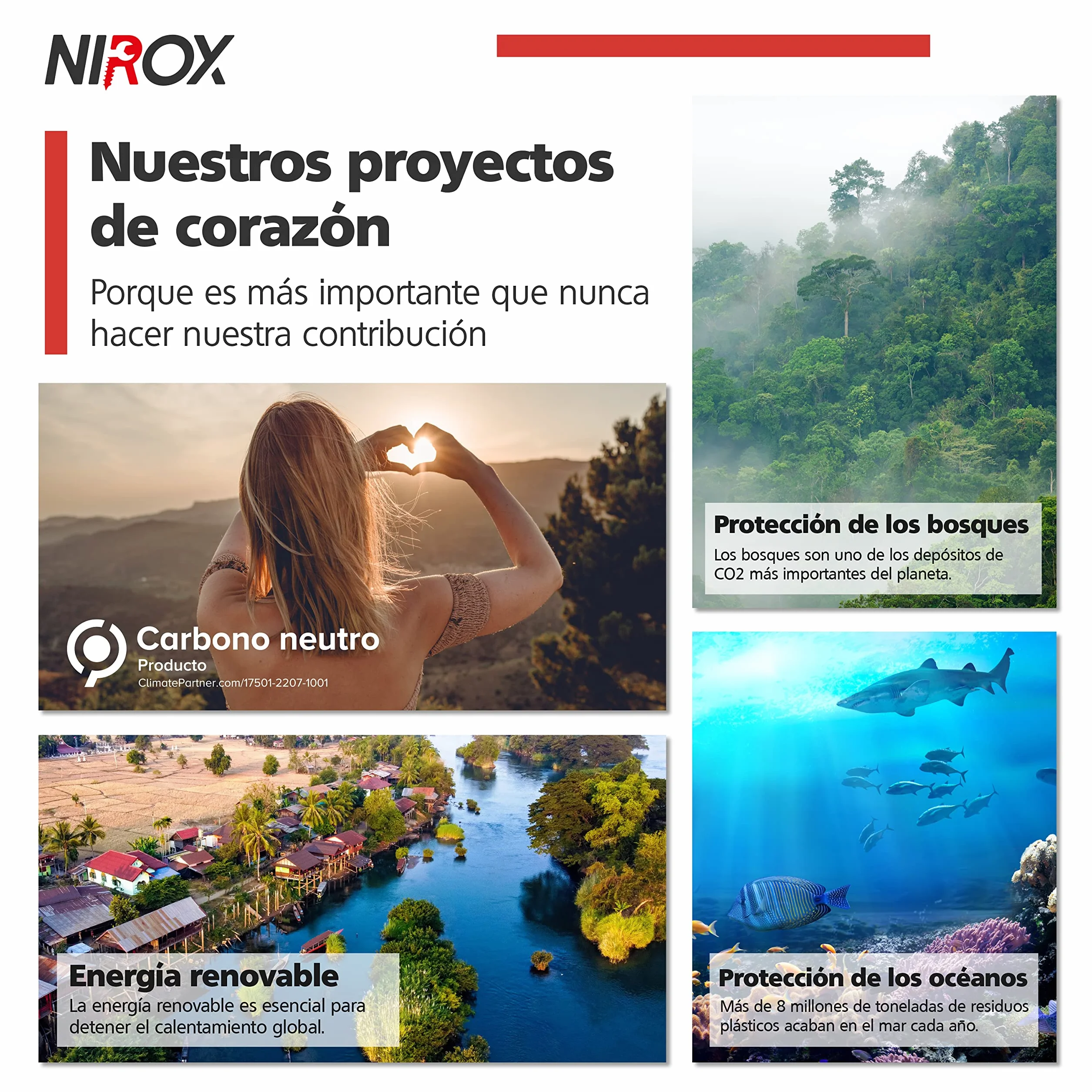 Nirox Juego de 4 embudos universales - Apto para alimentos BPA-FREE - Ayuda de llenado para la cocina - Mini embudo de llenado para líquidos e ingredientes secos - Embudo de aceite para coche