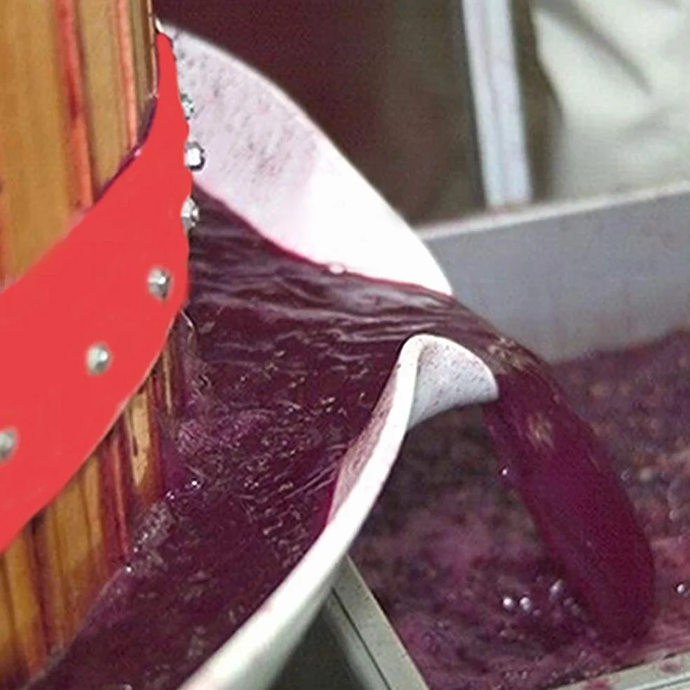 LZQ Prensa de frutas prensa de 18 litros de zumo y exprimidor de bayas, prensa mecánica para vino de manzana con paño prensado