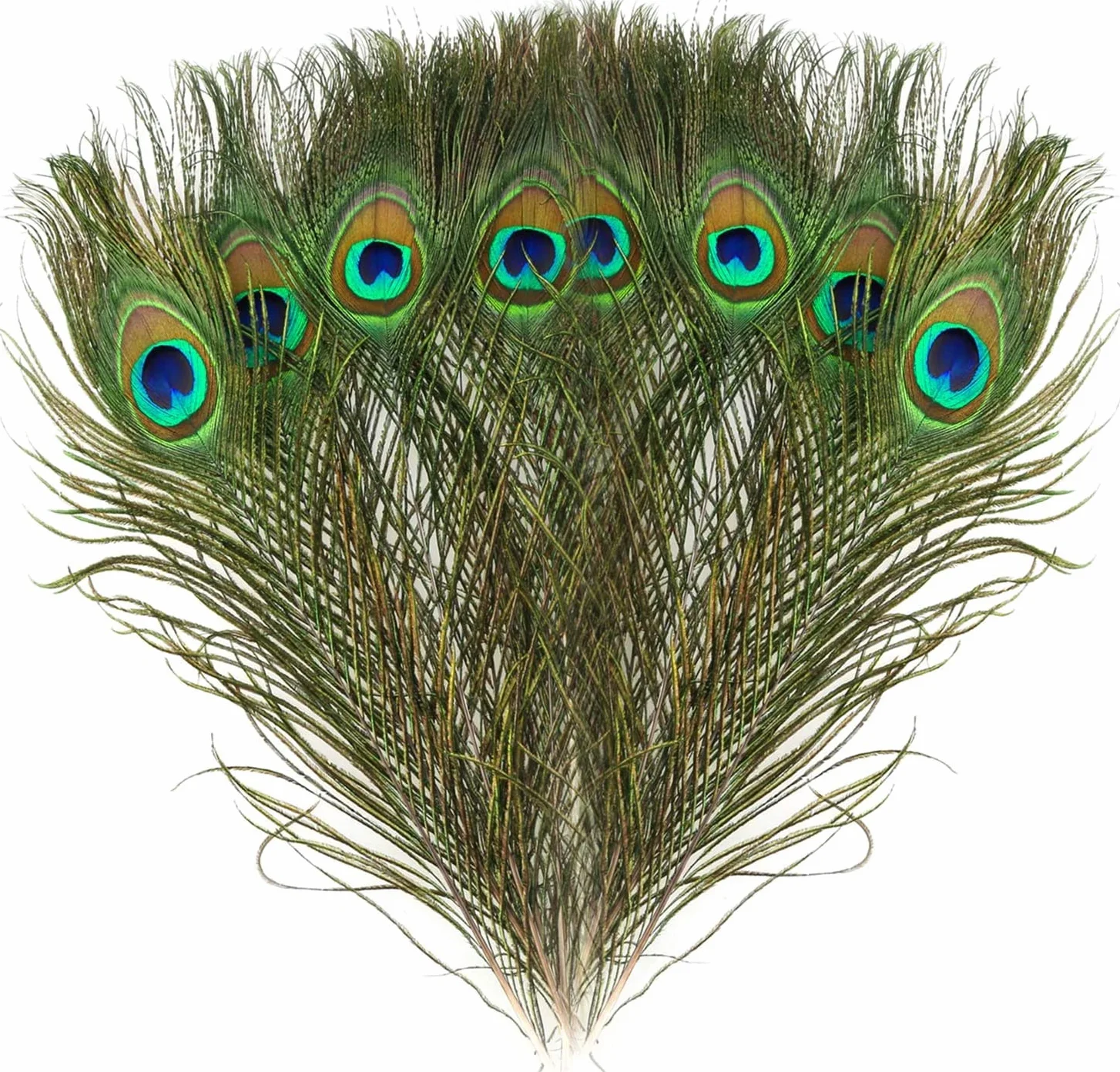 MWOOT 40 plumas decorativas de pavo real, naturales, para manualidades, adornos de 20-25 cm, ideales para ceremonias y fiestas de temporada, accesorios de decoración