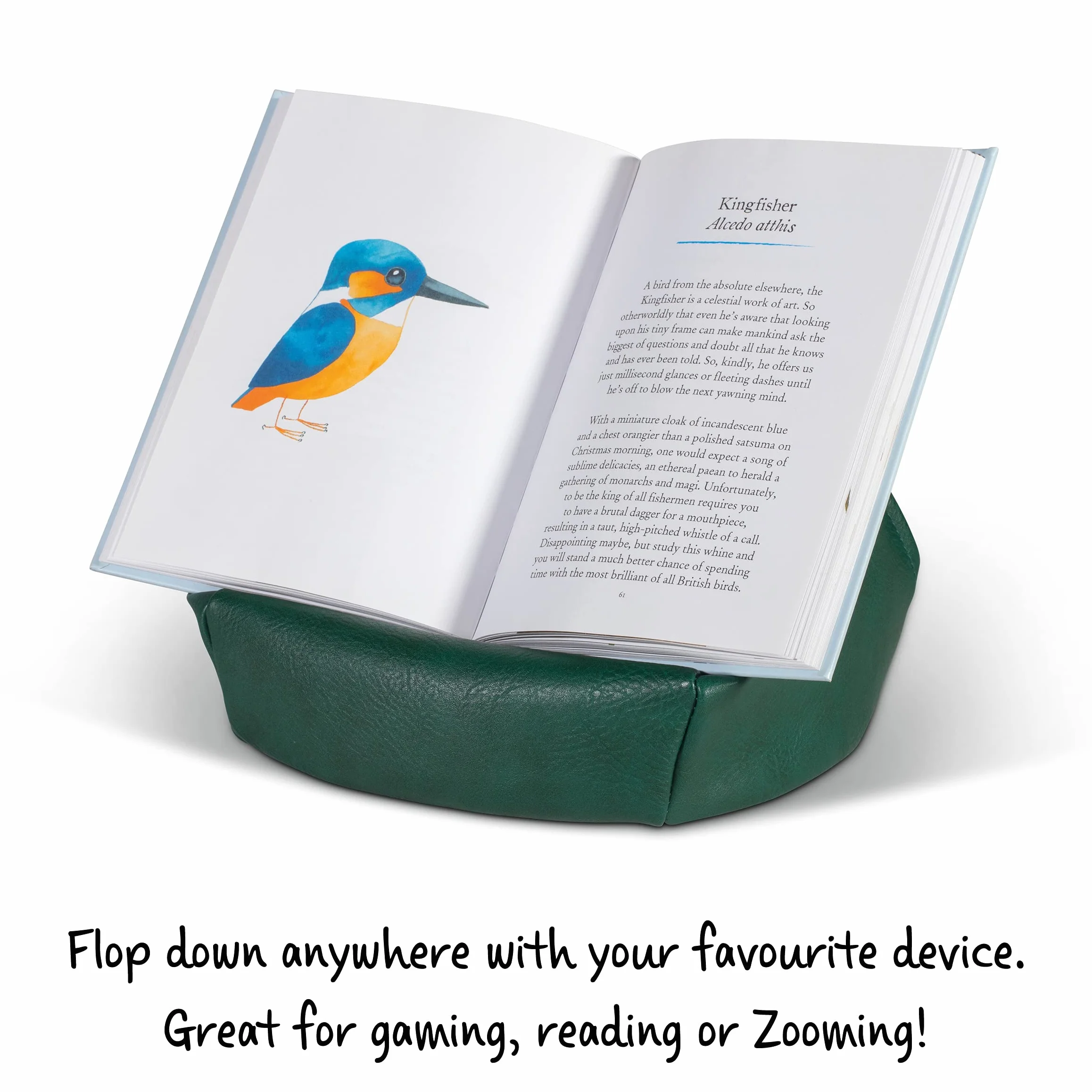 IF Bookaroo - Puf para lectura, color verde bosque, talla única
