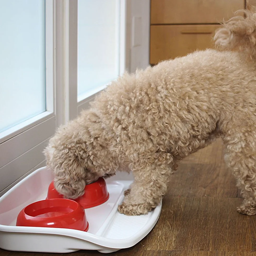 Ferplast Bandeja con Cuencos para Perros y Gatos Lindo Doble comedero para Animales, Base de plástico Resistente, Pies Antideslizantes, Dos Cuencos de 0,6 l incluidos, 44,5 x 34 x h 7 cm Rojo