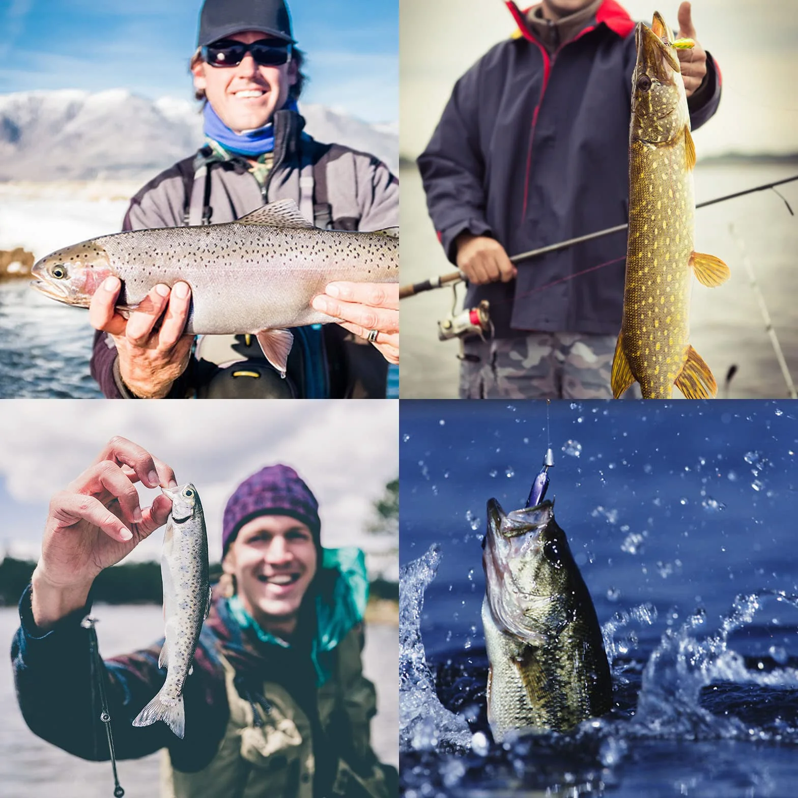 5 Piezas Señuelos Artificiales De Pesca, Flotantes y Duros, Cebos de Mar Spinning para Trucha, Lubina, Perca, Lucio