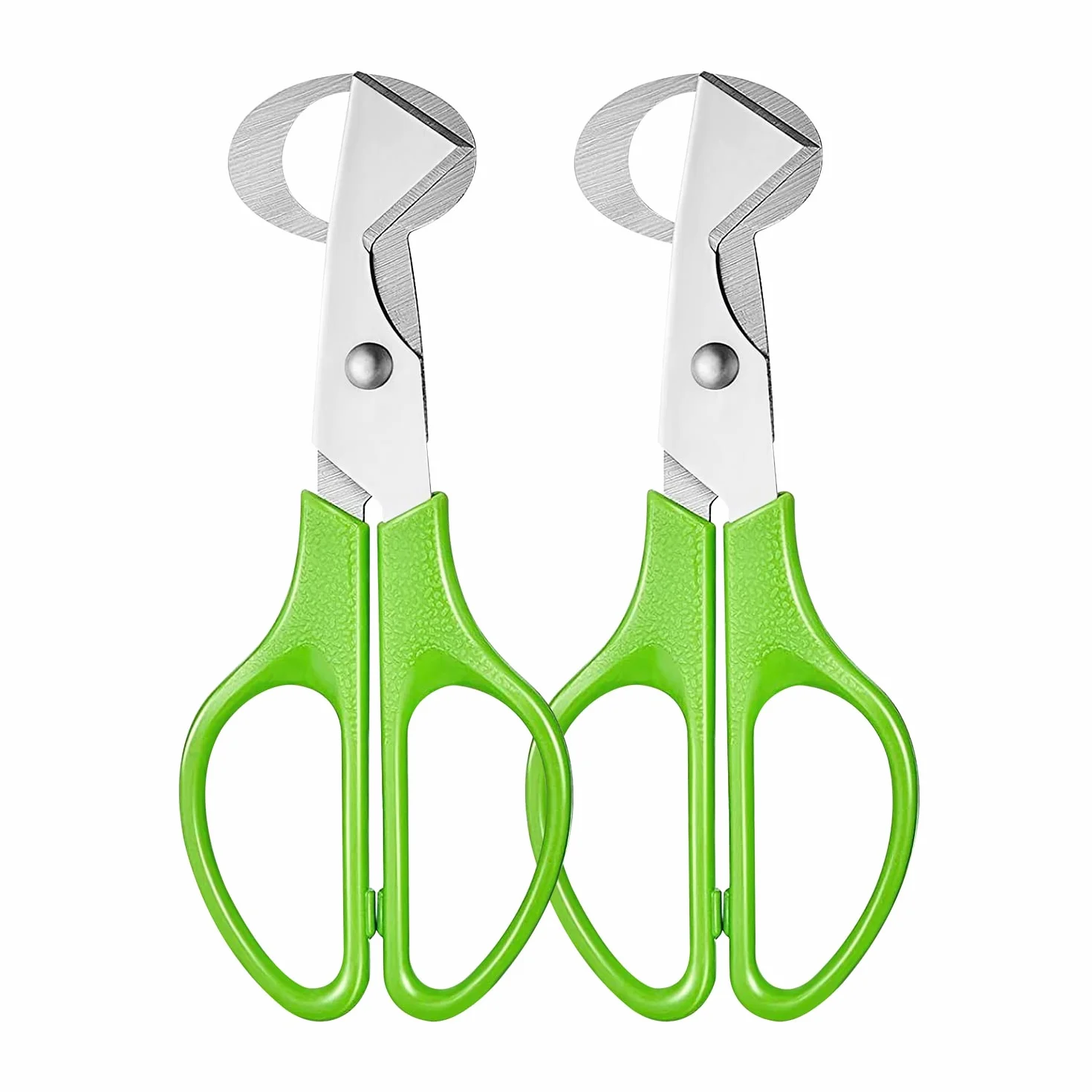 Hotype Tijeras de Acero Inoxidable para Huevos de Codorniz, 2 Piezas