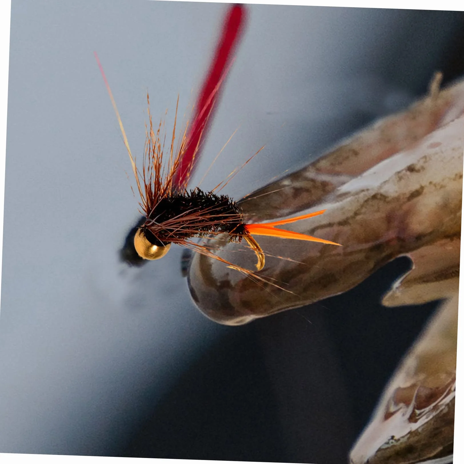 BESPORTBLE Anzuelos De Pesca Black Bass 12 Piezas Ninfas Pesca Trucha