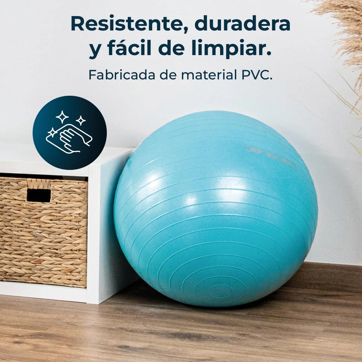 Cecotec Fitball DrumFit 65 Piłka do Pilates Fitness 65 cm Maksymalne Obciążenie 200 kg