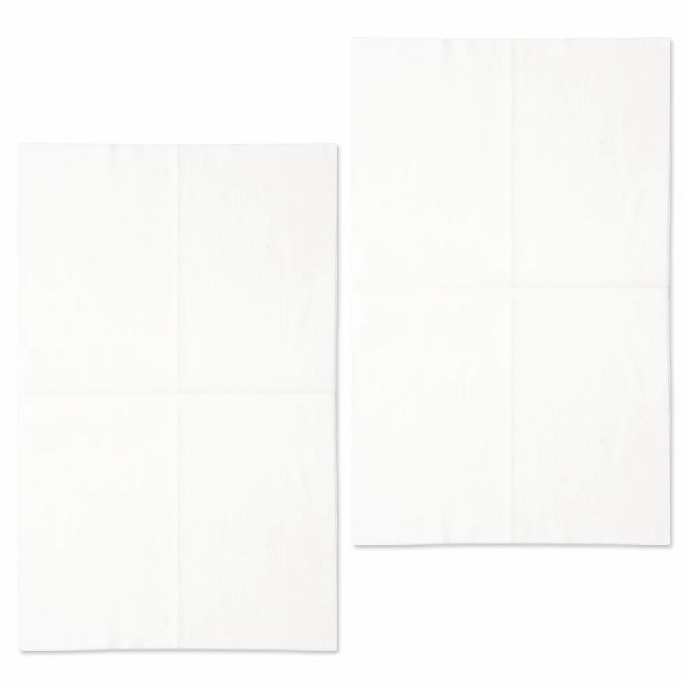 Polti Kit de 20 paños electrostáticos XXL, Otro, Blanco, 31x16x1 cm, 20 Unidades
