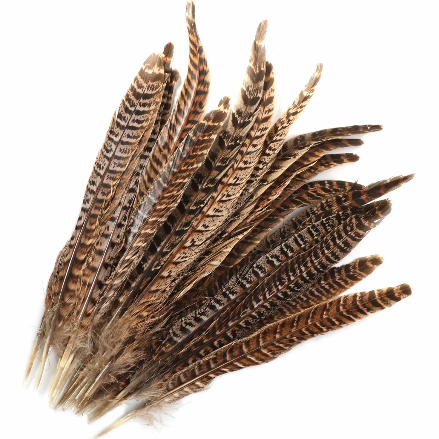 MWOOT plumas de cola de faisán naturales 20pcs 25-30cm decoración ara boda, fiestas de cumpleaños