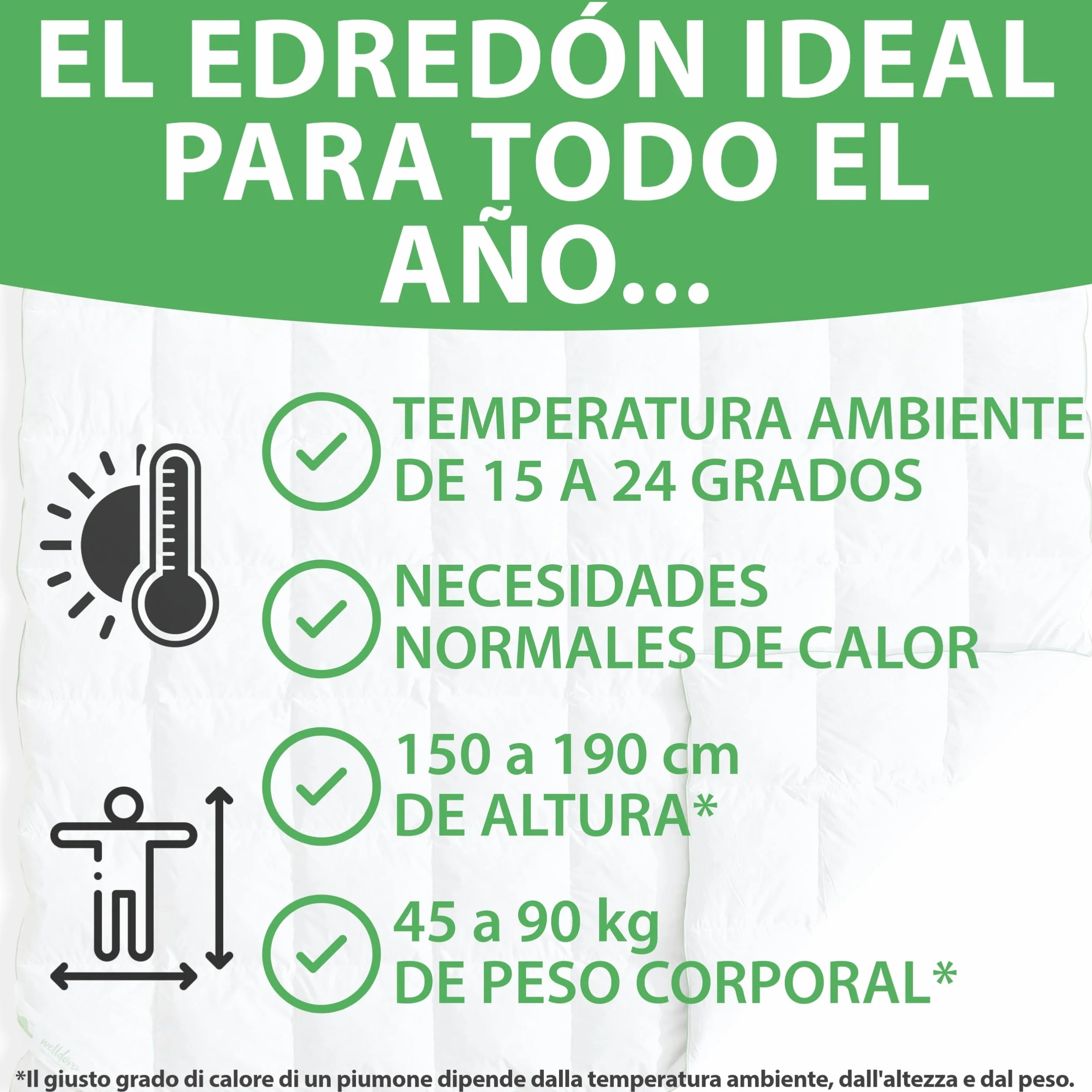 Welldora Edredón Invierno Verano de Plumas para Cama de 105 x 200 | 100% Edredón Nórdico de Plumas y Plumón Extrasuave | Médicamente Probado, Oeko-Tex, Hipoalergénico | Certificado RDS | 200 x 200 cm