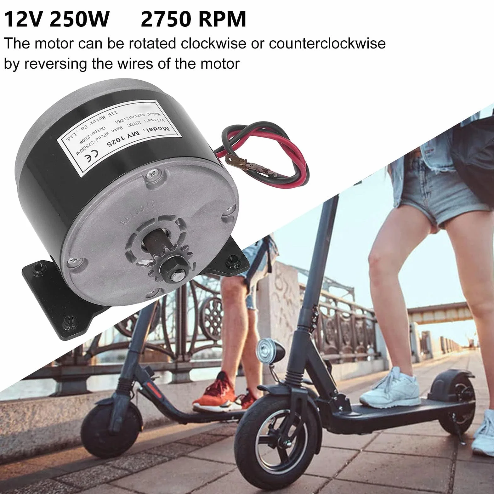 Motor DC Cepillado 12V 250W 2750rpm MY1025 para Scooter Eléctrico