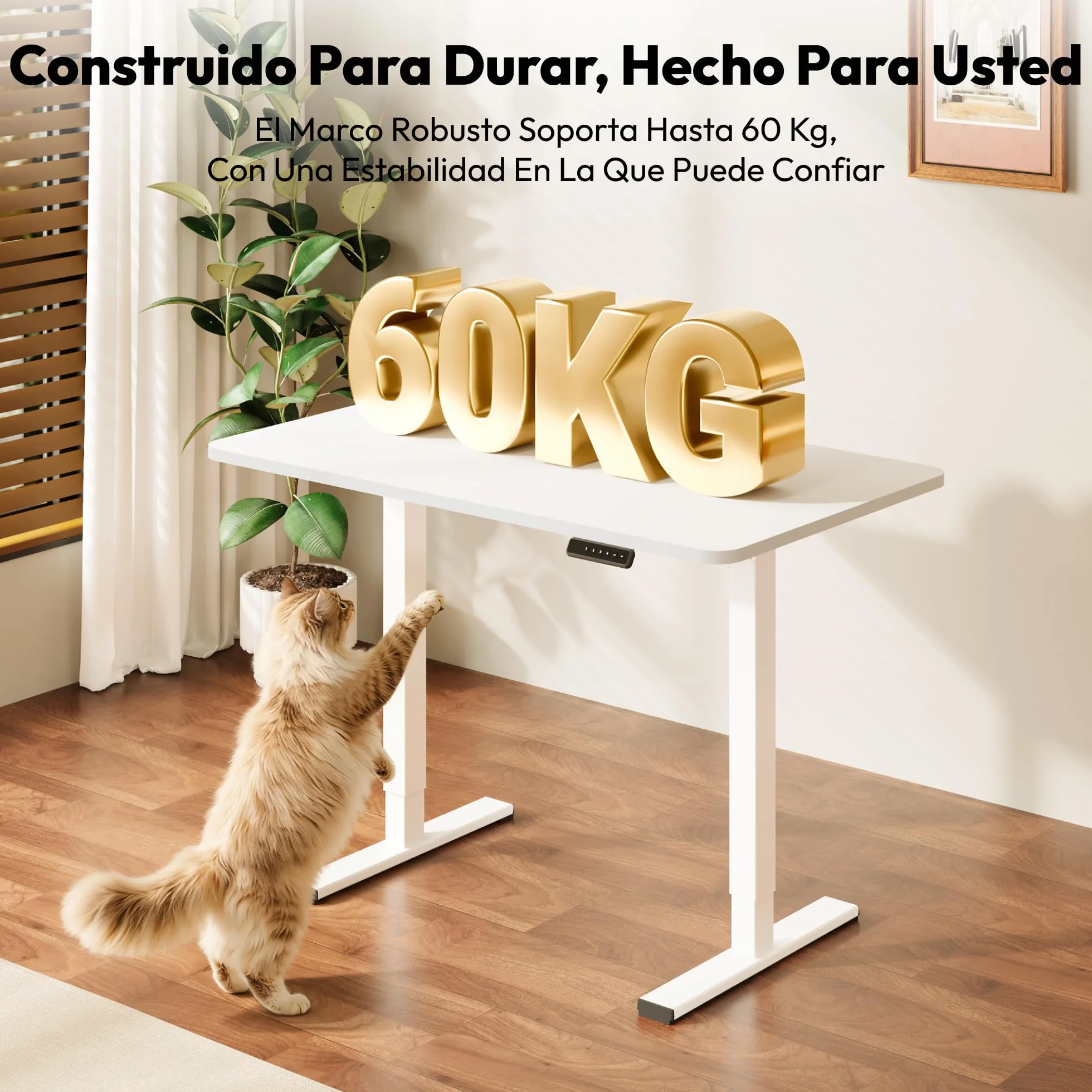 SANODESK Escritorio Elevable Eléctrico con Tablero Entero de Una Pieza 120x60 cm, Regulable en Altura con Memoria, Estable, Silencioso y Anticolisión, Ideal Teletrabajo y Oficina en Casa (Blanco)