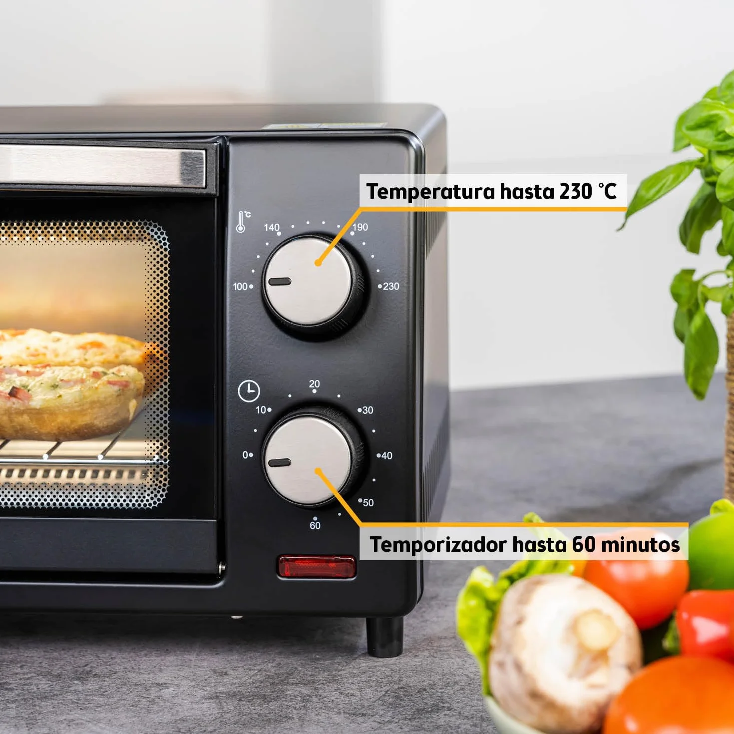 TZS First Austria - Mini Horno 10L 800W - Minihorno con regulación de temperatura hasta 230°C - Con temporizador de 60 min, 2 alturas de inserción, bandeja y parrilla - Para cocinas pequeñas y camping