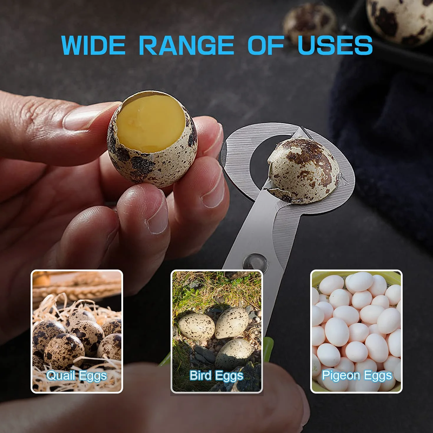 Hotype Tijeras de Acero Inoxidable para Huevos de Codorniz, 2 Piezas