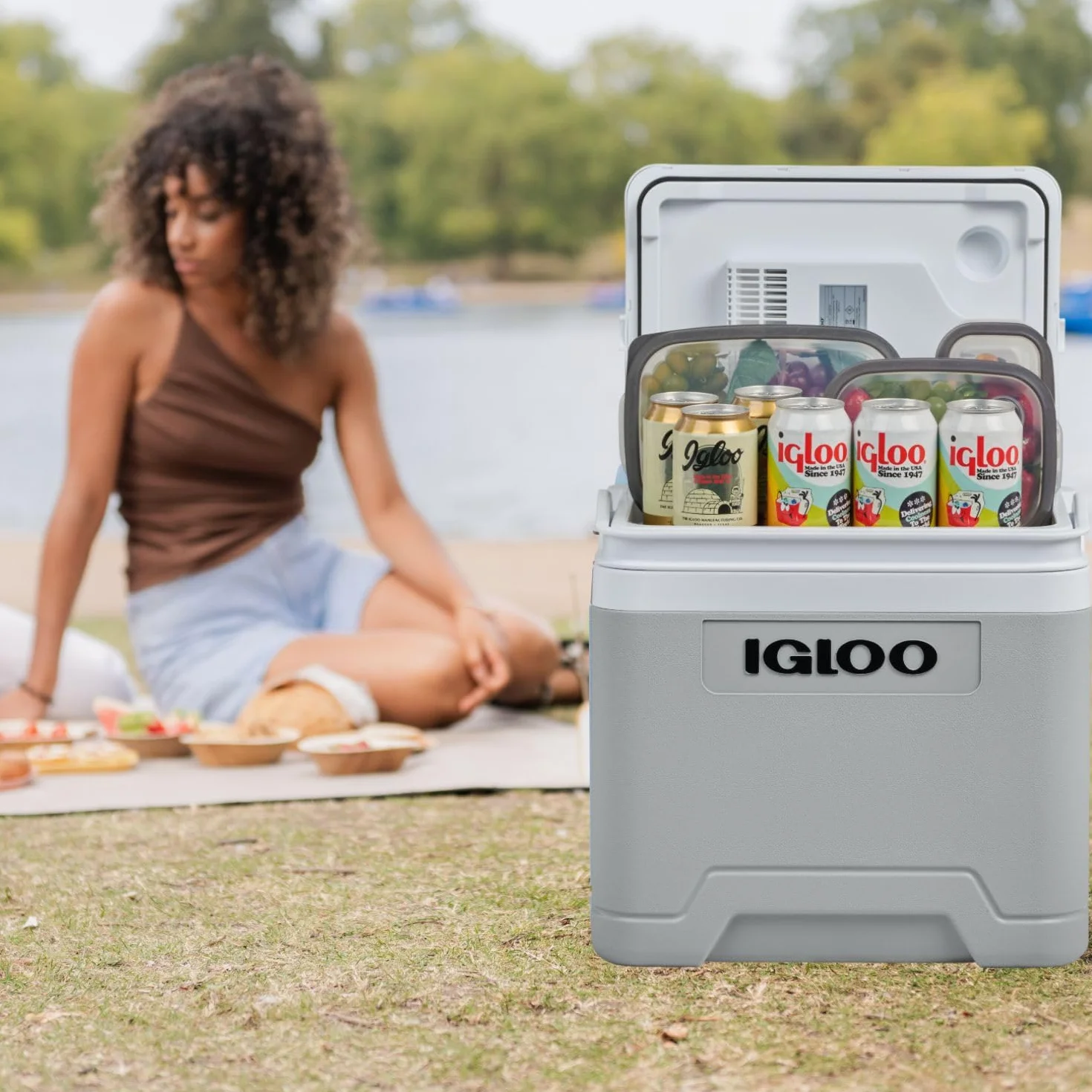 IGLOO IE27 Nevera Eléctrica 12V 230V 27L Mini Frigorífico Compacto Portátil