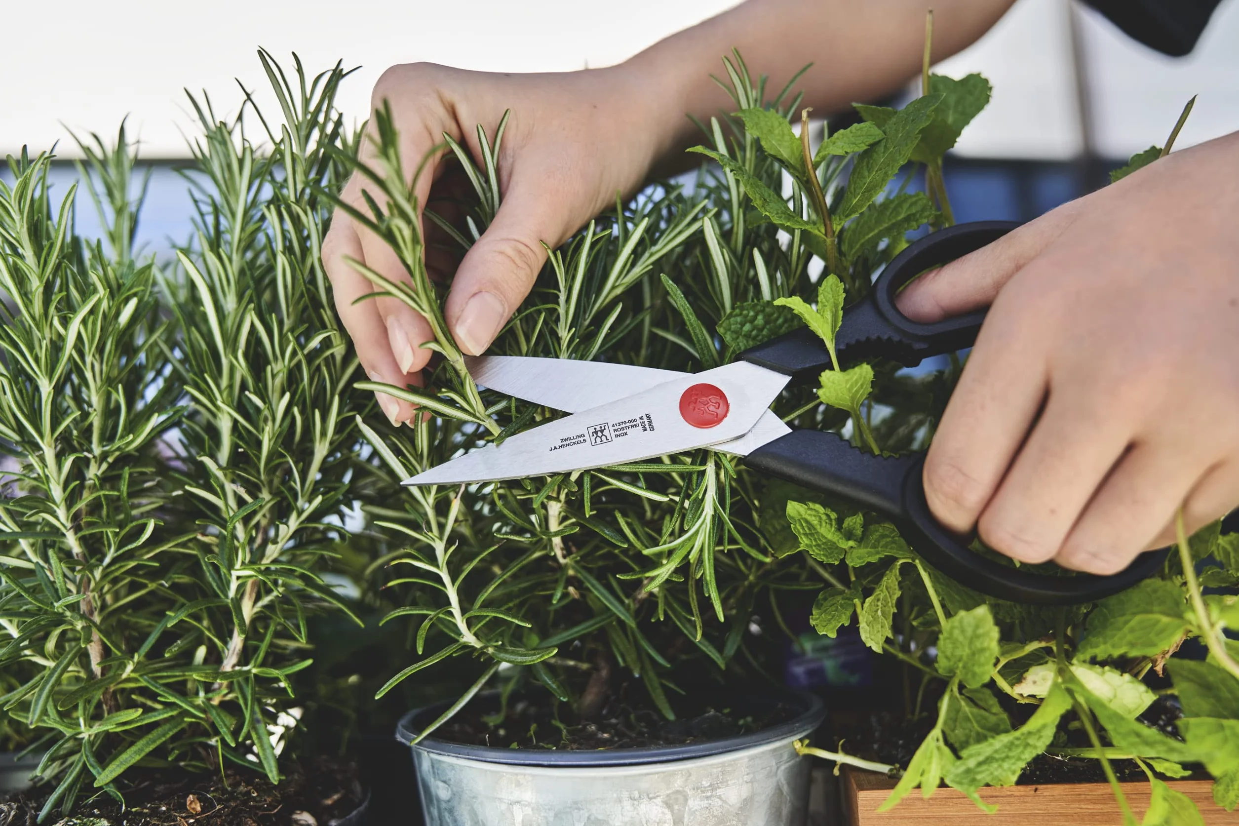Zwilling Twin L Tijeras multiuso, acero inoxidable y plástico, longitud 20 cm