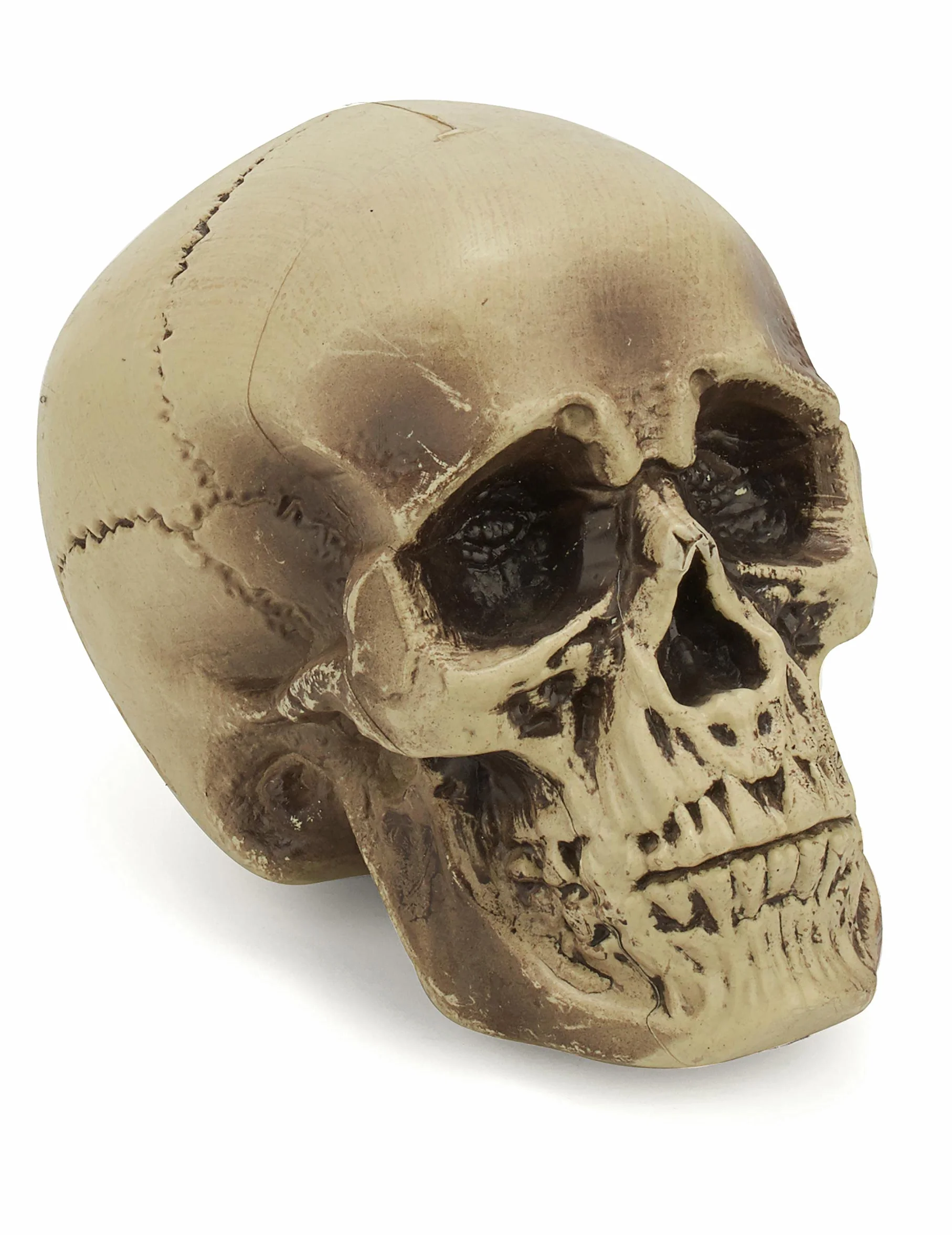 DEGUISE TOI Decoración Calavera de plástico