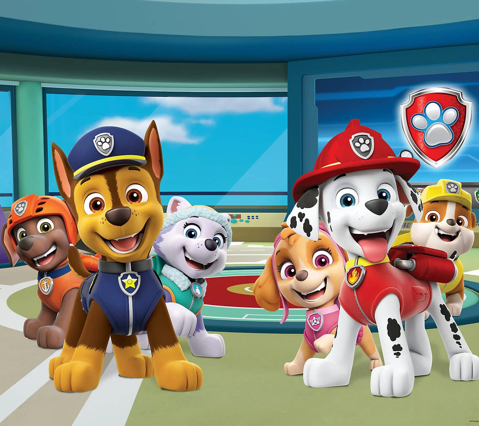 AG Design Cortinas Paw Patrol Infantil 2 Piezas Multicolor 180 x 160 cm