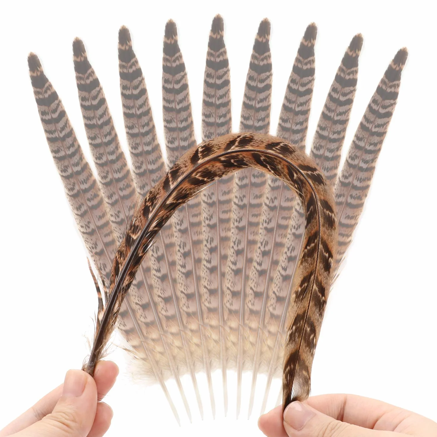 MWOOT plumas de cola de faisán naturales 20pcs 25-30cm decoración ara boda, fiestas de cumpleaños