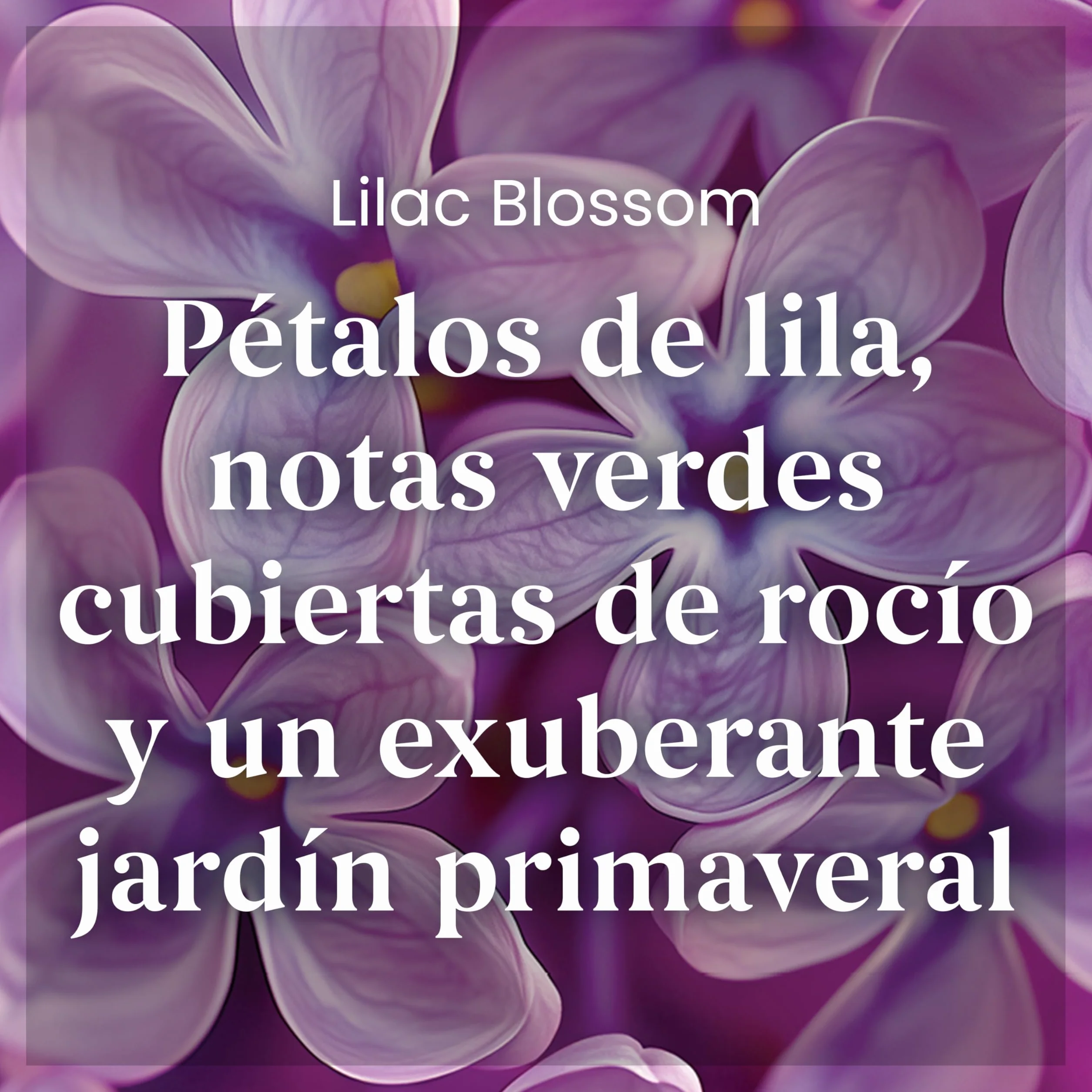 Yankee Candle Vela perfumada | Tarro grande Lilac Blossoms | Velas de larga duración: hasta 150 horas | Regalos perfectos para mujeres