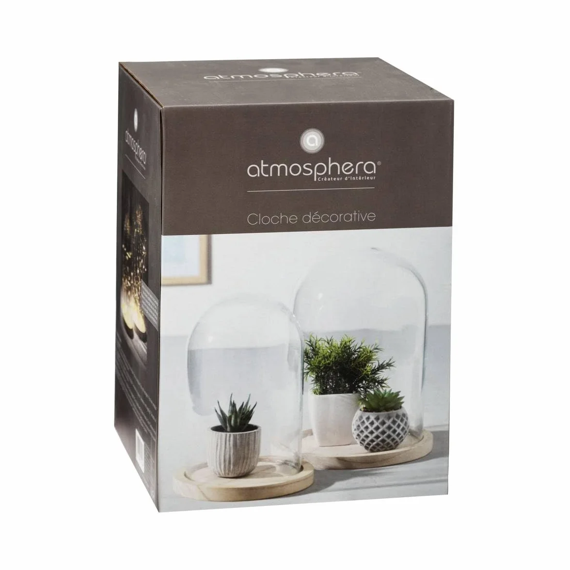 Atmosphera Campana de Vidrio y Madera Transparente H26 cm