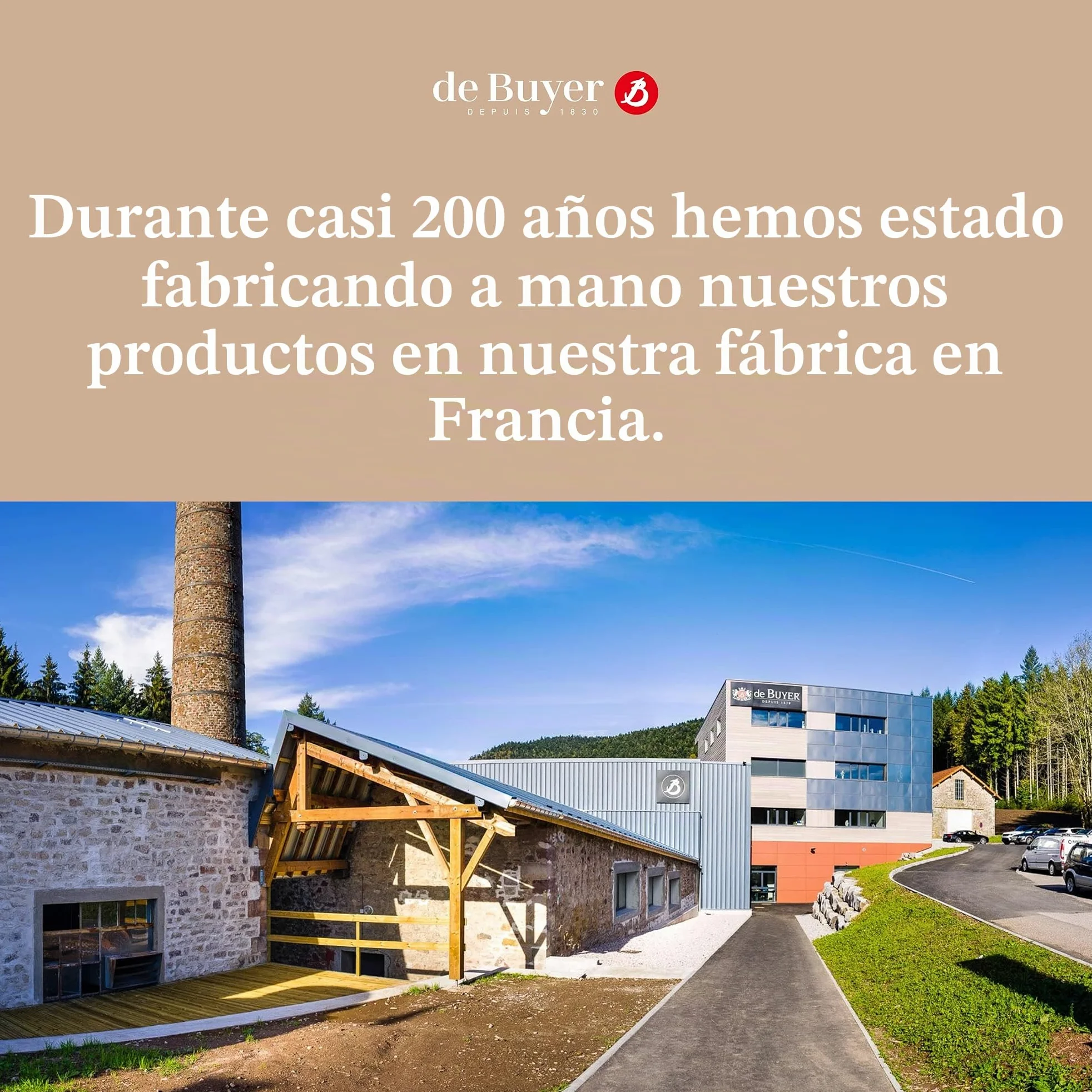 De Buyer, CAZO CON MANGO FUNDICION, INOCUIVRE , Ø 12 CM,-6460.12