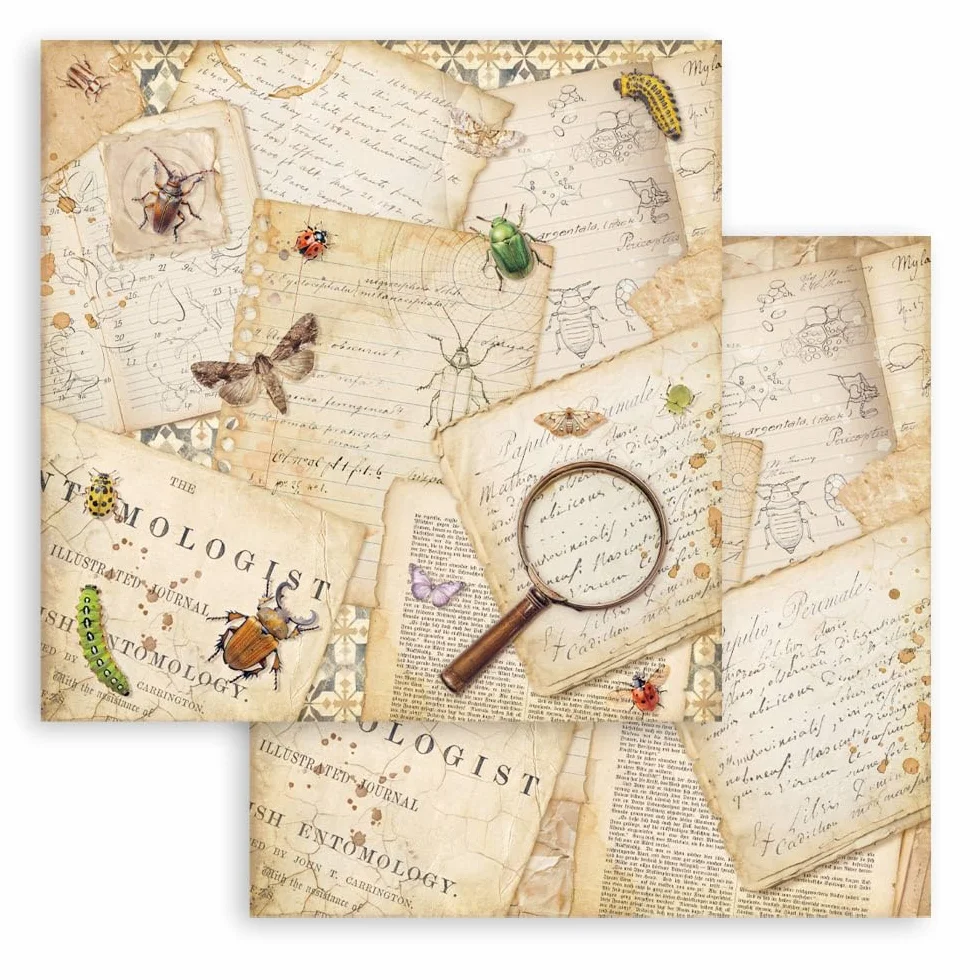 Stamperia - Scrapbook Paper Pad for Scrapbooks, Albums, Cards, Bullet Journals and More, Acid Free, Double-Sided, Perfect for Hobbies, Crafts, and Gifting (All Around) (20.3 x 20.3cm)