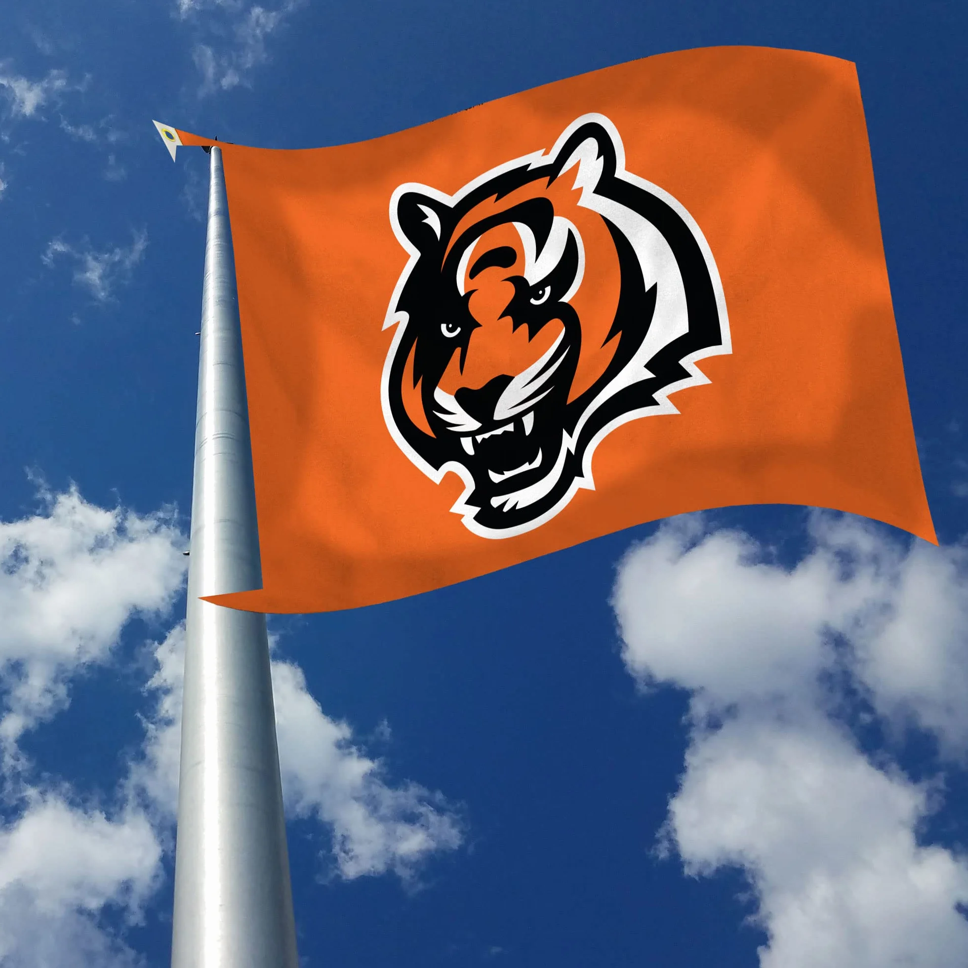 Rico Industries Bandera de fútbol NFL 91 x 152 cm Unilateral para Interior y Exterior