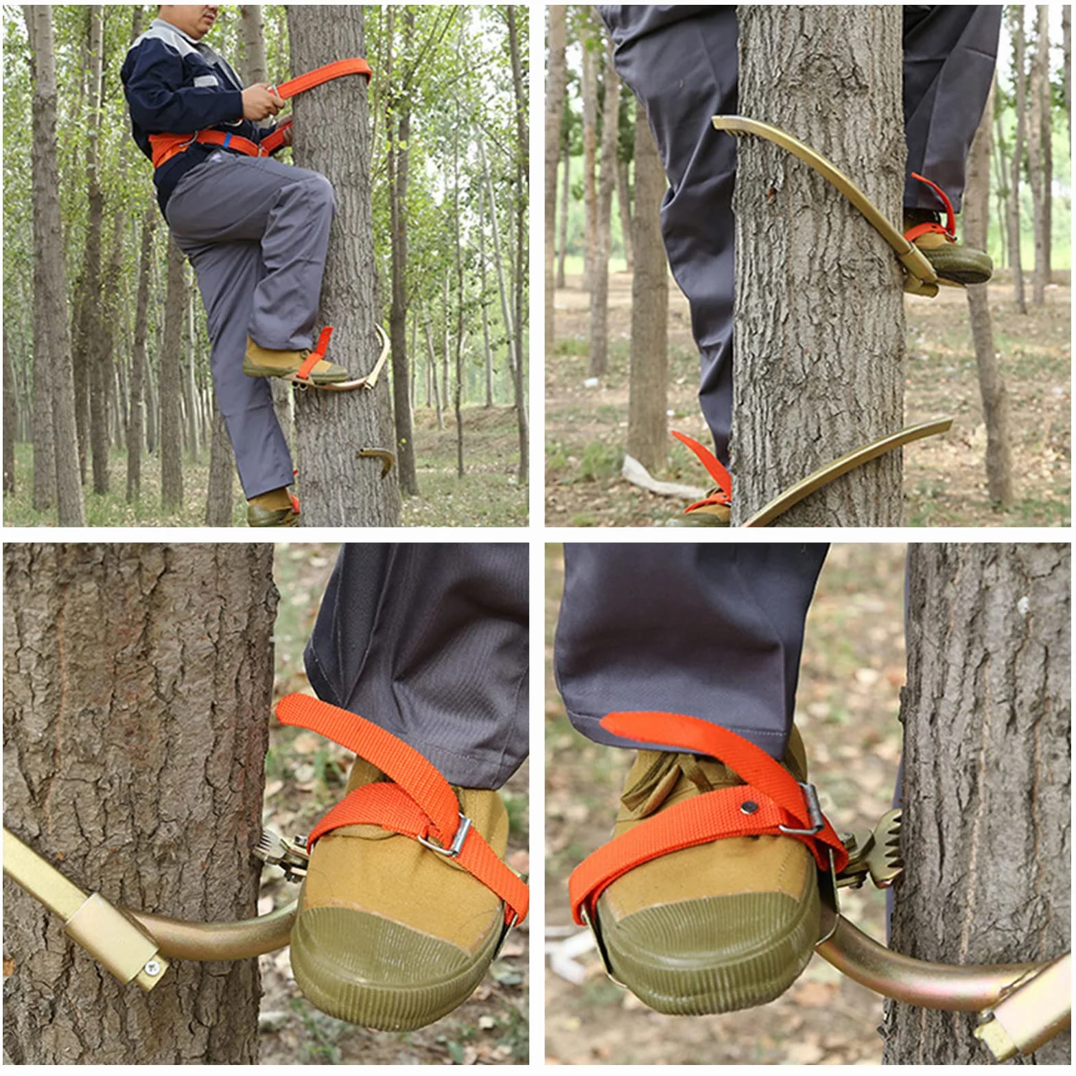 Crampones forestales para árboles con cinturón de seguridad, equipo de escalada para trabajadores eléctricos