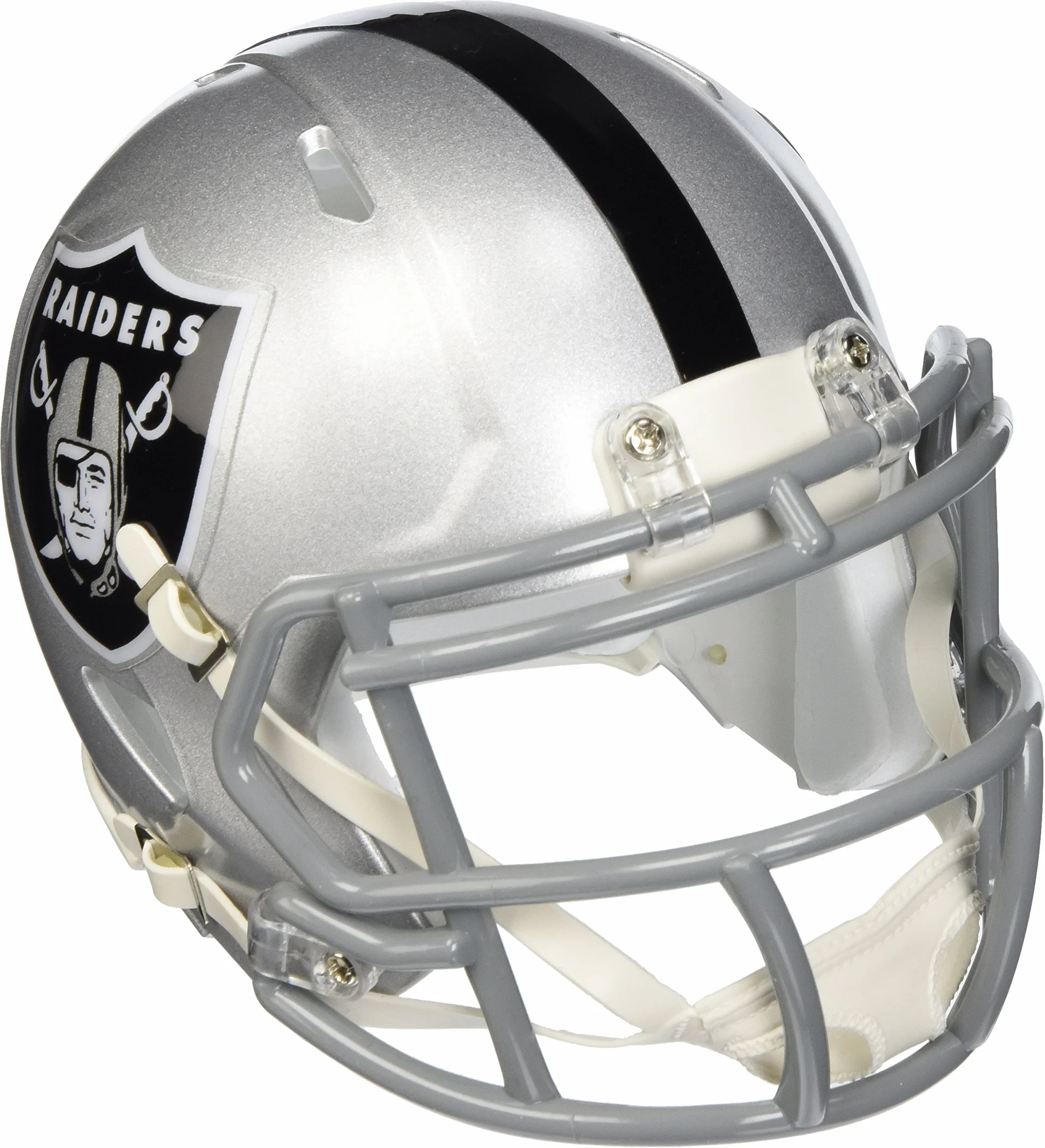 Riddell NFL Revolution Speed Mini Helm