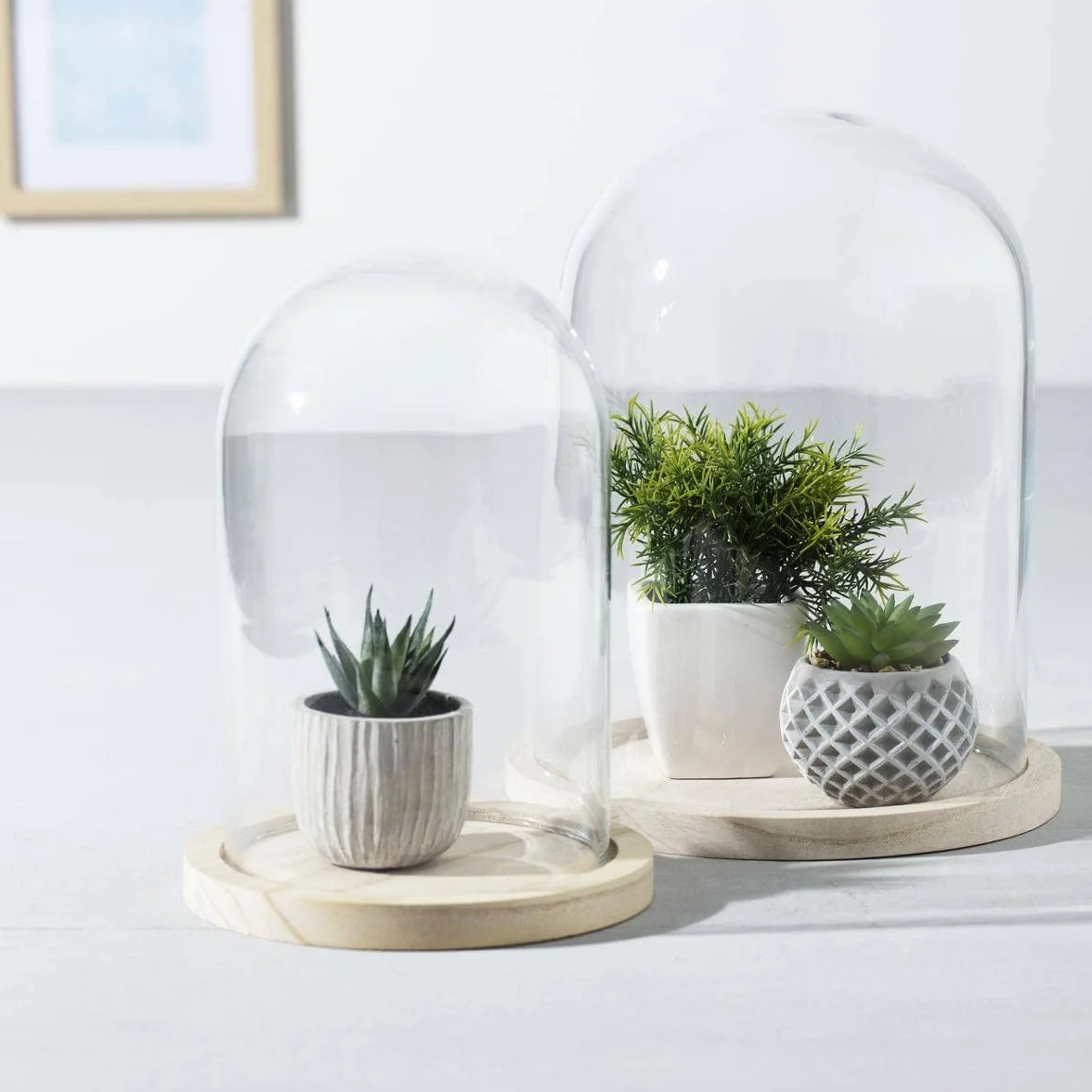 Atmosphera Campana de Vidrio y Madera Transparente H26 cm
