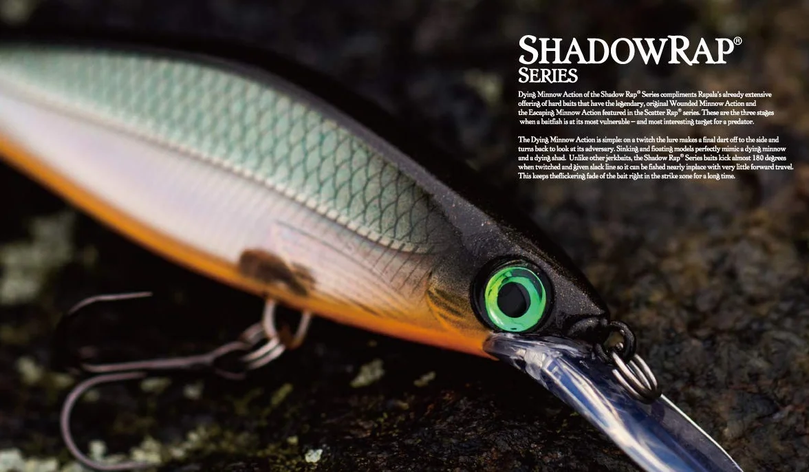 Rapala Shadow Rap Shad Deep 09 Fishing Lures