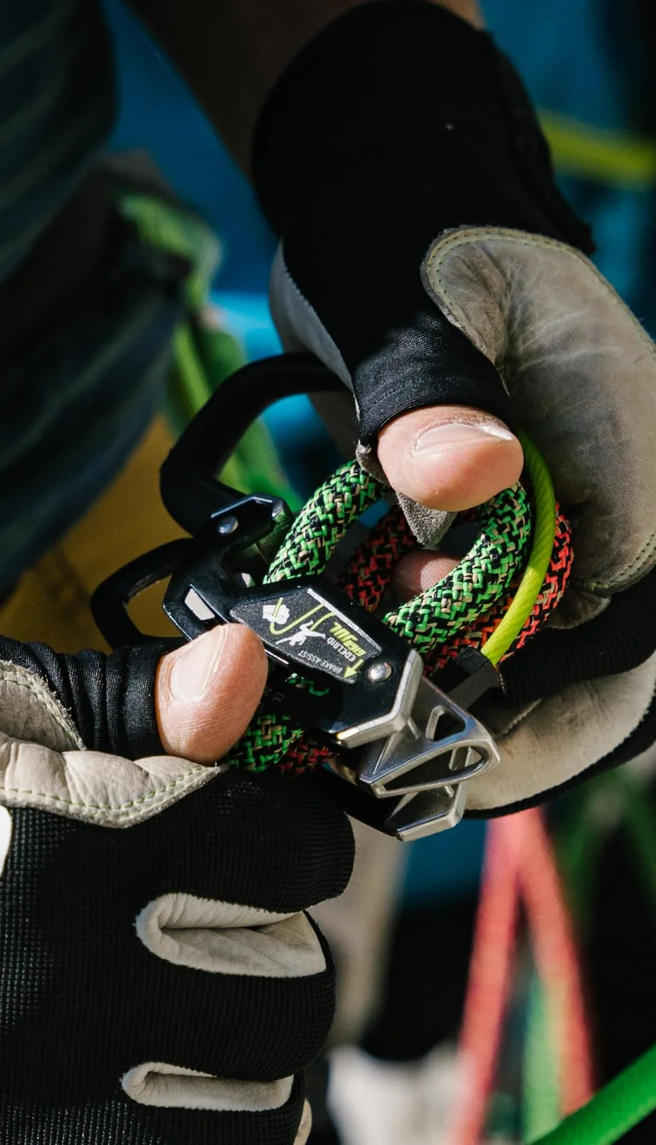 EDELRID Giga Jul Asegurador para Cuerda 7,1-10,0 mm Pizarra