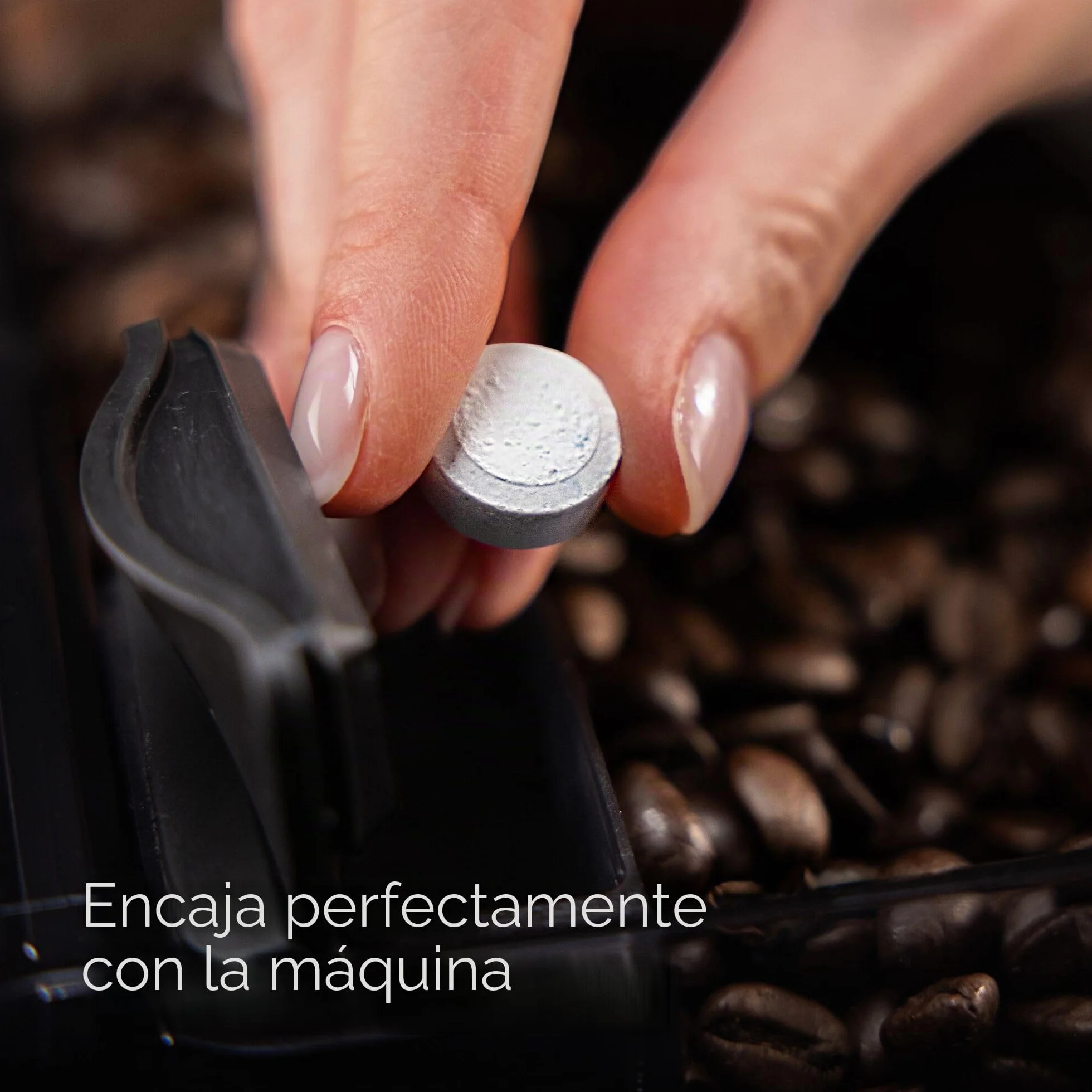 Siemens Multipack TZ80003A - Pastillas de limpieza (10 unidades, 6 pastillas descalcificadoras, apto para cafeteras automáticas de la serie EQ, así como para máquinas automáticas de montaje