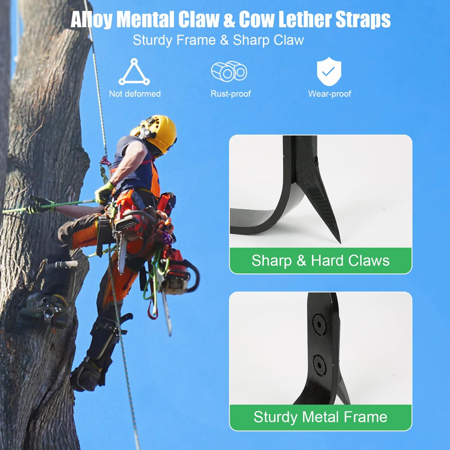 Crampones de escalada de árboles, juego para escalada y recolección de frutas