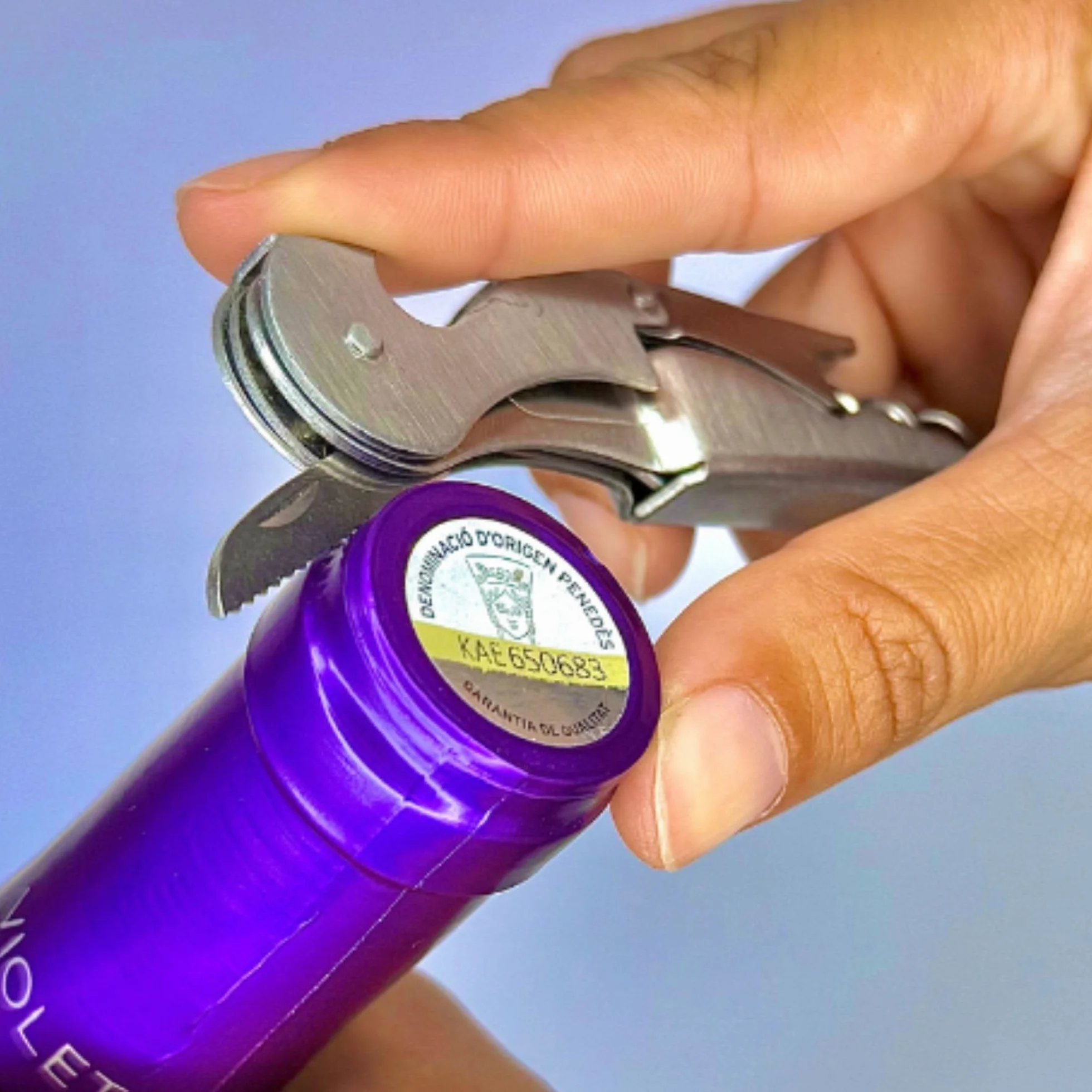 Abridor de Vino (Pack de 2) | Sacacorchos Profesional | Abrebotellas | Saca Rolhas de Acero Inoxidable | Abridor Botellas Vino Resistente (Plateado 2 Unidades)