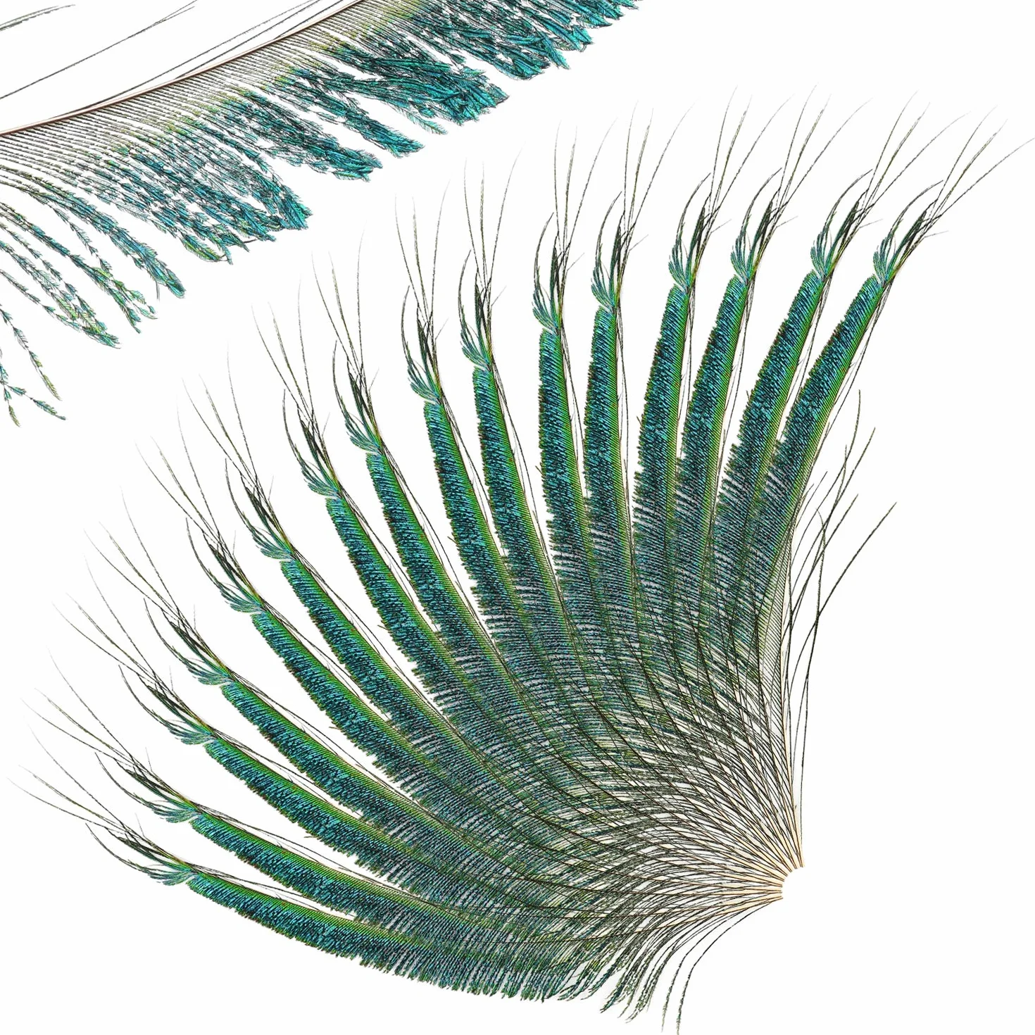 Mwoot 30pcs Natural Pavo Real Plumas de espada, Plumas de Pavo Real para la decoración del hogar DIY Jewelry Party Arte (25-35CM)
