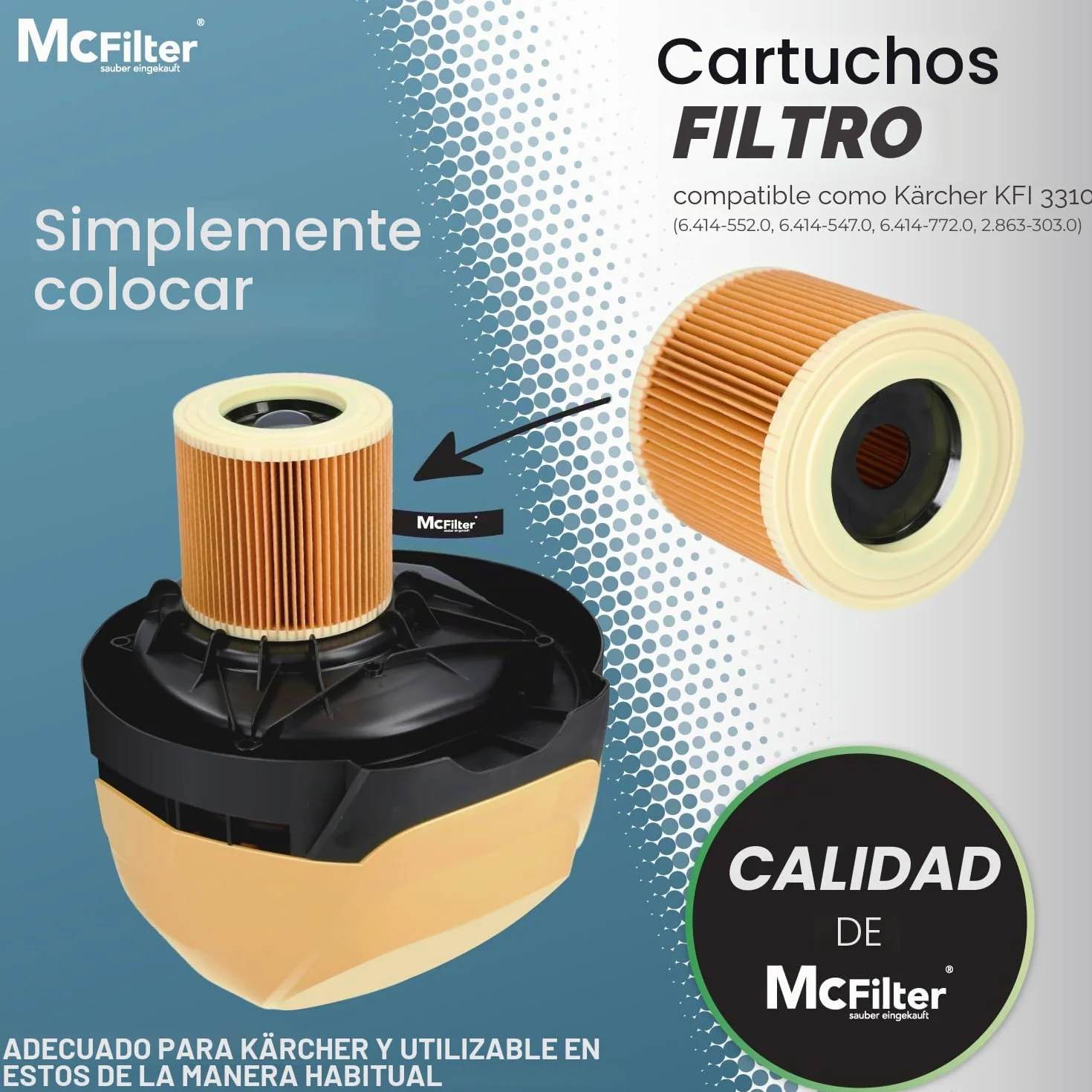 1 juego de 10 bolsas de aspiradora y 1 filtro de cartucho adecuado para aspiradoras multiusos Kärcher de las series WD3 y MV3