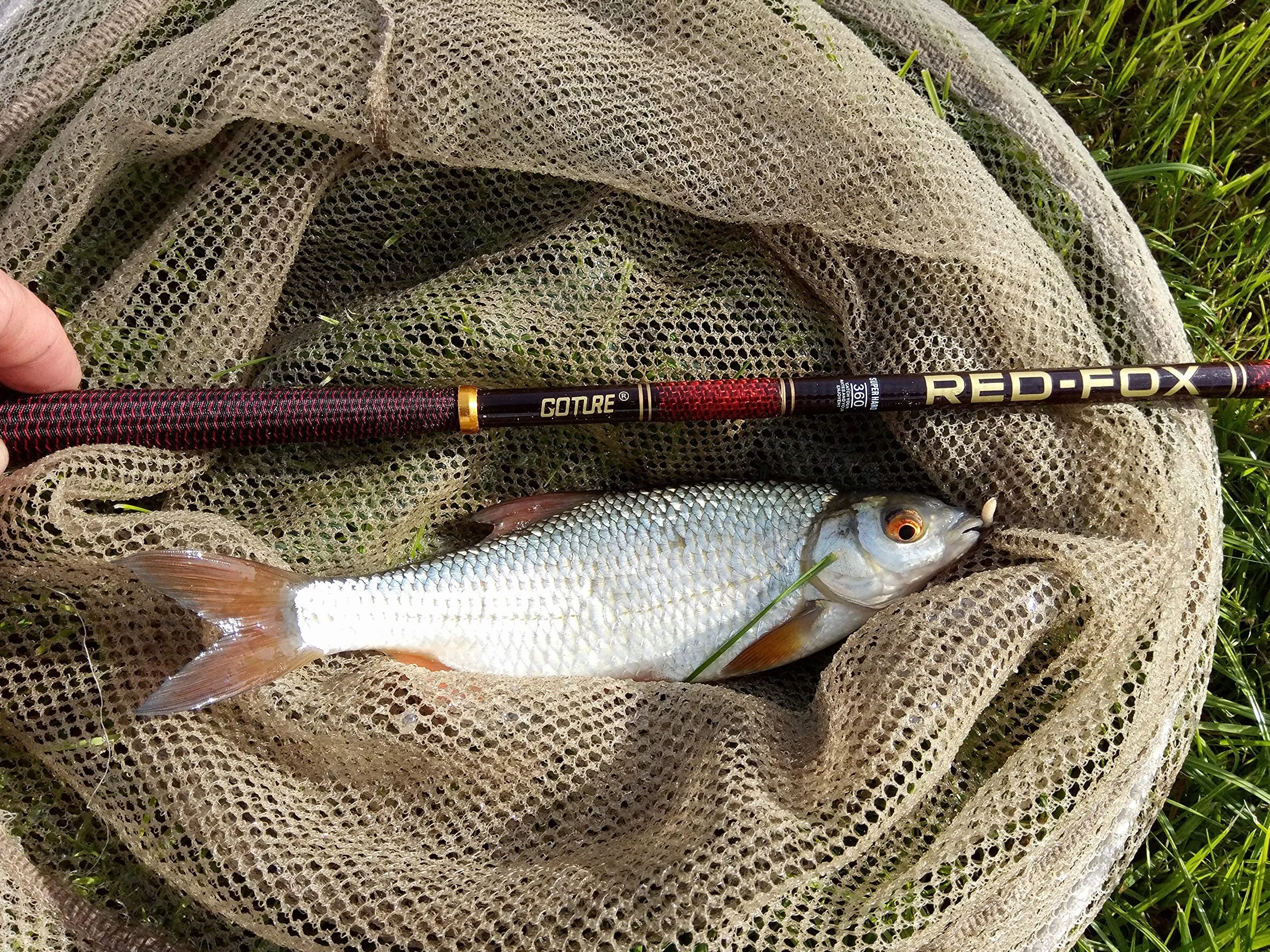 Goture Caña de Pesca con Mosca Telescópica Tenkara Fibra de Carbono Ultra Ligera + 3 Segmentos