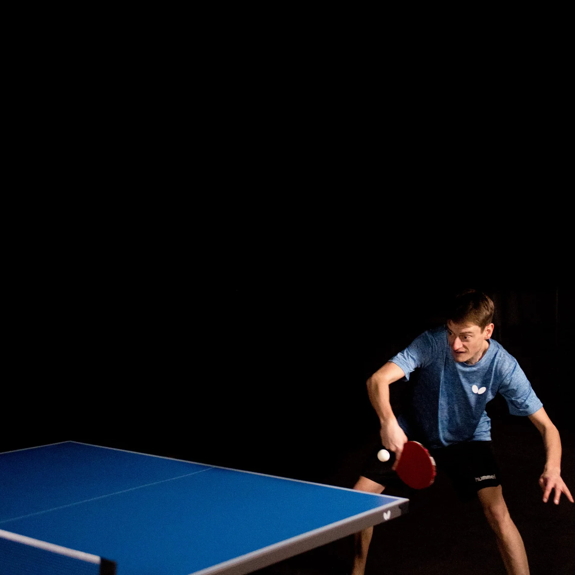 Butterfly Timo Boll Bate de Tenis de Mesa Plateado Adulto