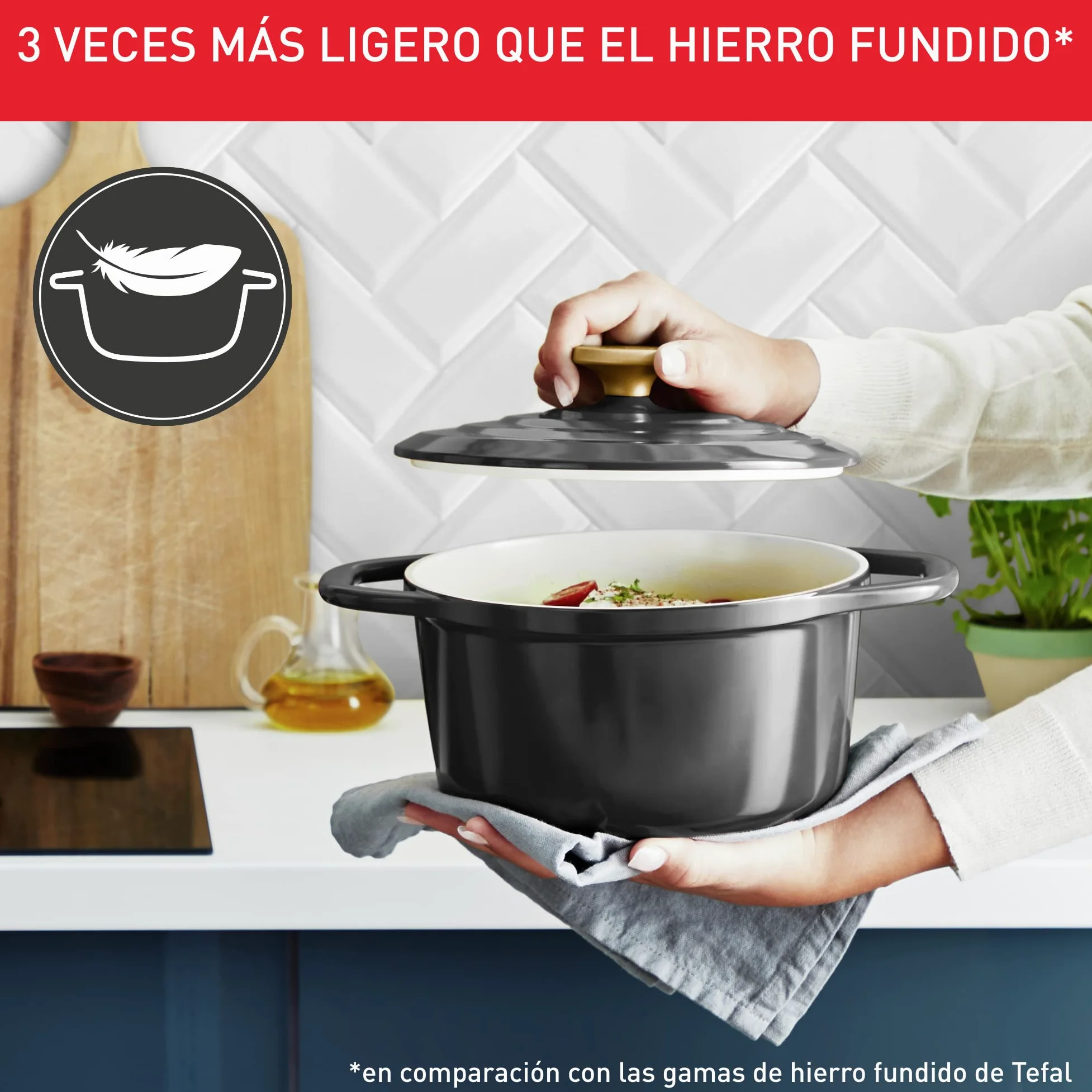 Tefal Cocotte Air 24 cm - cazuela de aluminio fundido de 4,7 L de capacidad, revestimiento cerámica, resultados tiernos, apto para horno y cocinas convencionales, incluso inducción, apto lavavajillas