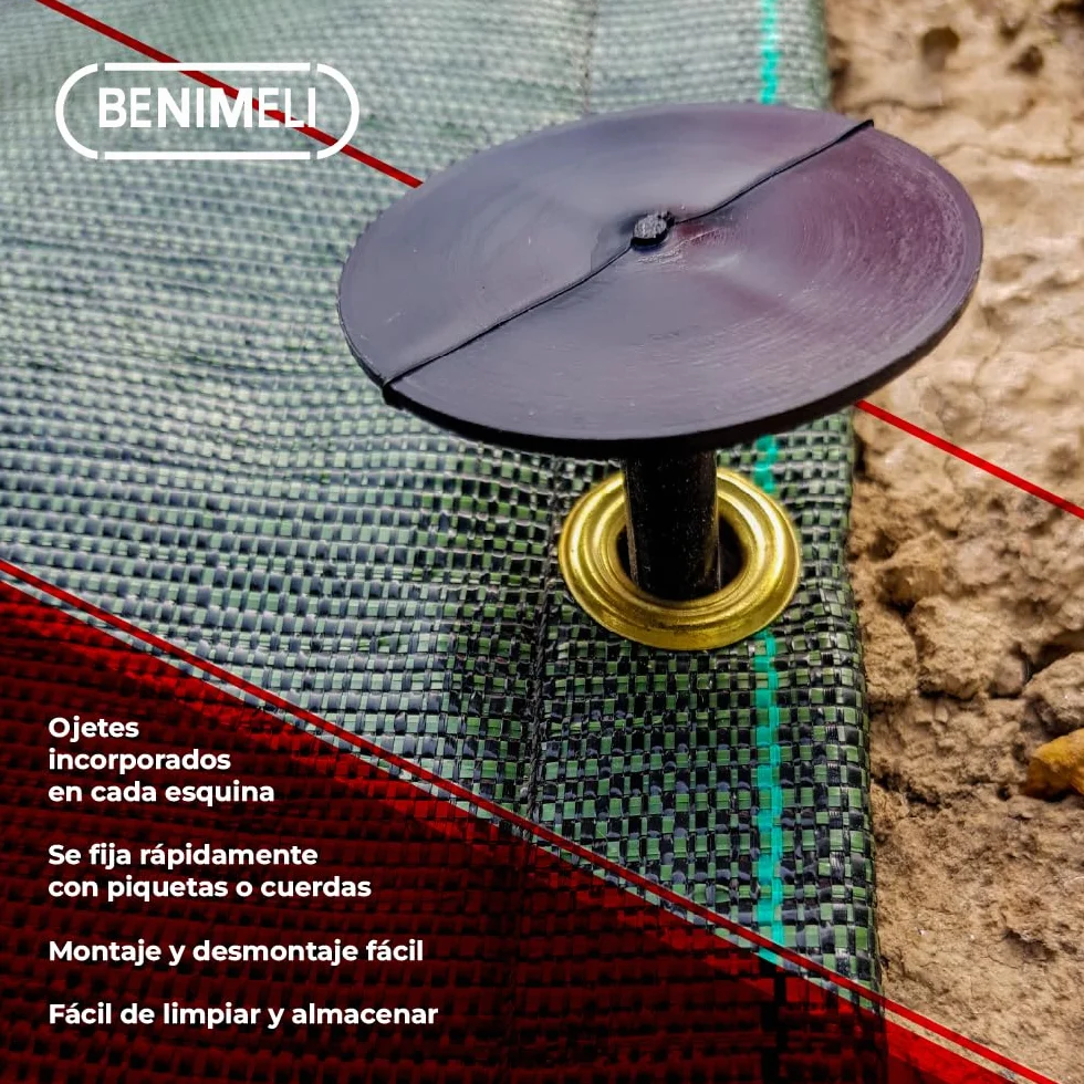 Suelo de Camping 5x6 M - Alfombra Exterior Multiusos Anti UV - Cobertura Piscina Protector con Ojetes - Malla Ocultación Jardín - 130gr/m² - Verde