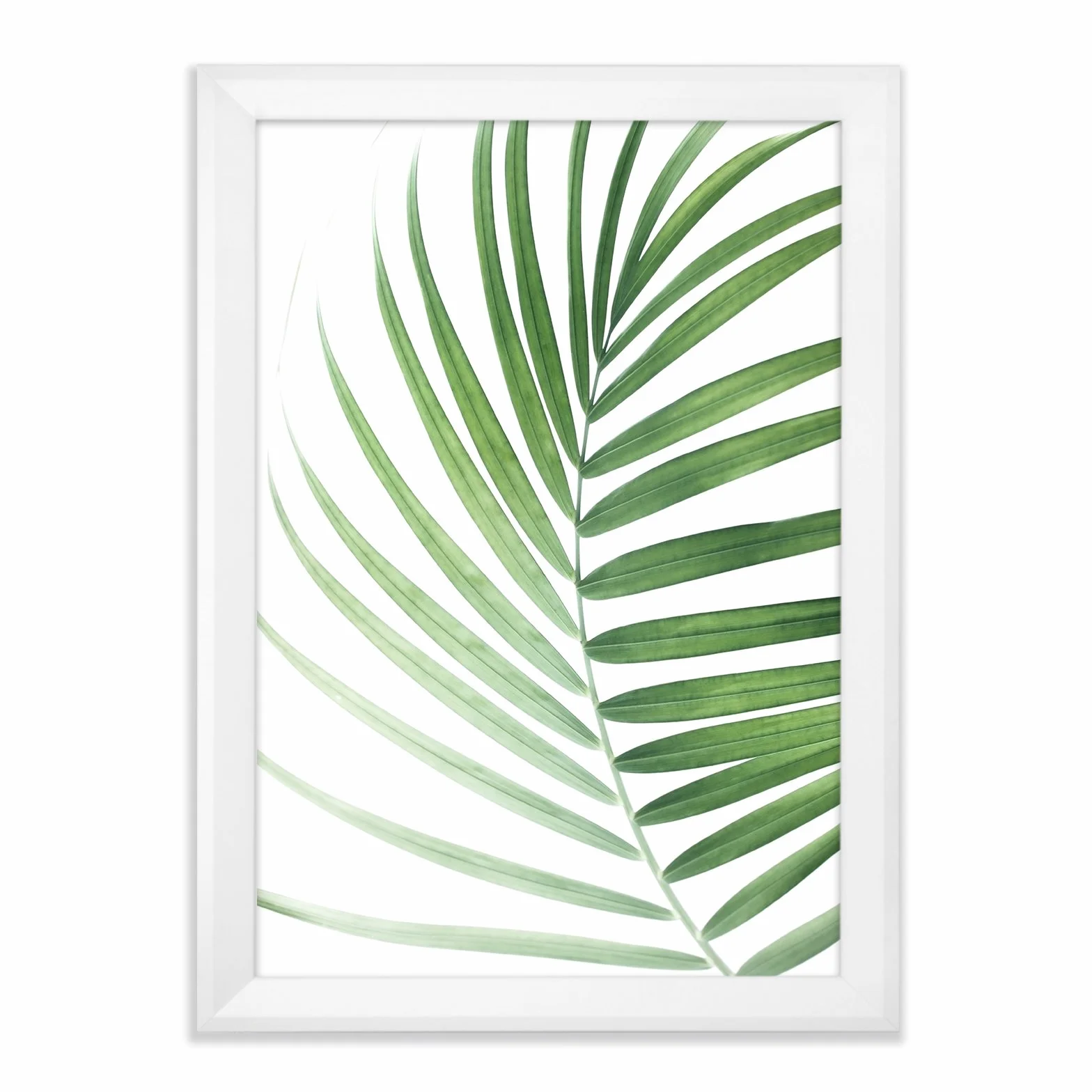 PRIO - Lámina decorativa (61 x 91 cm, con marco de fotos, color blanco mate)
