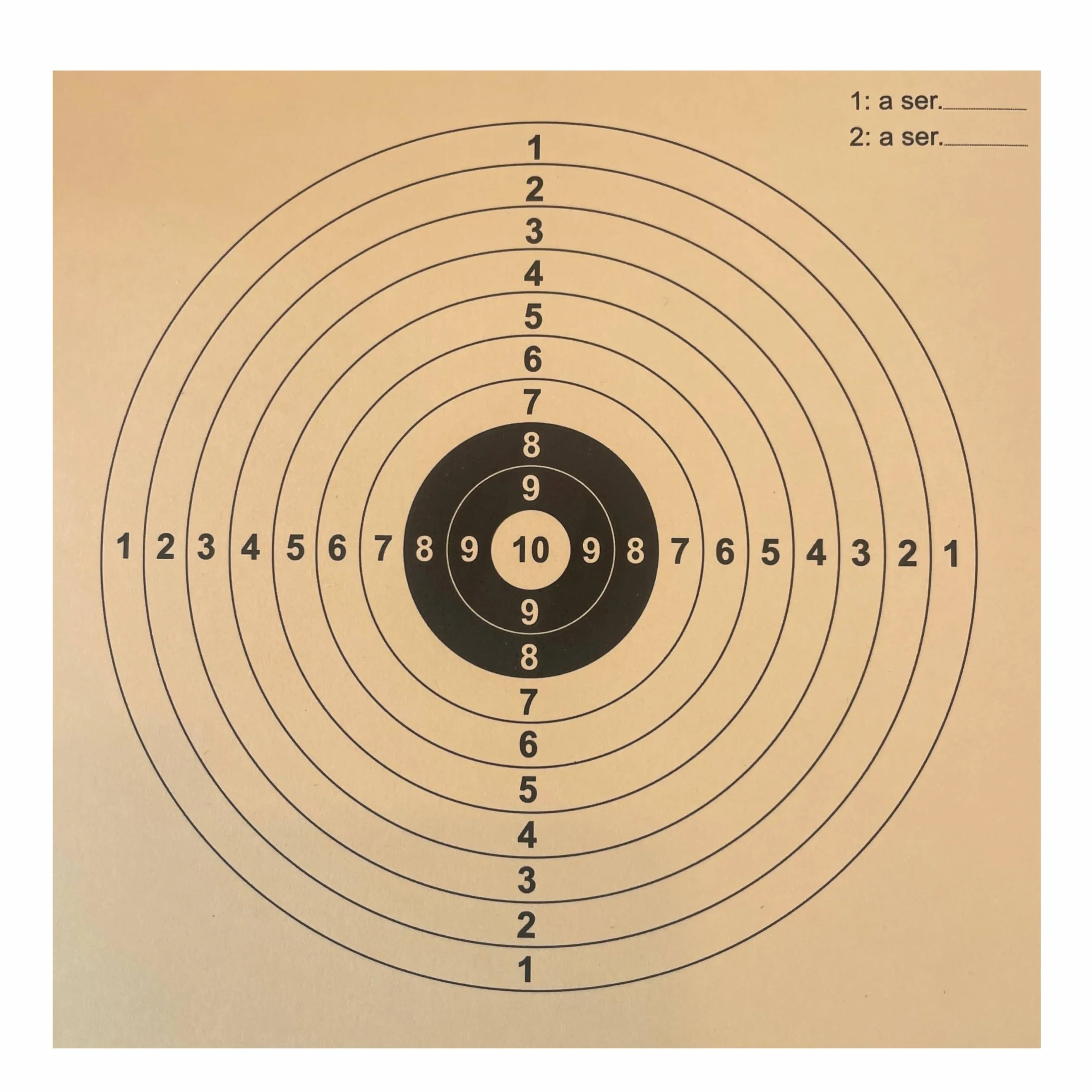 Dianas 14x14 cms 300 grs/m2 Airgun Airsoft