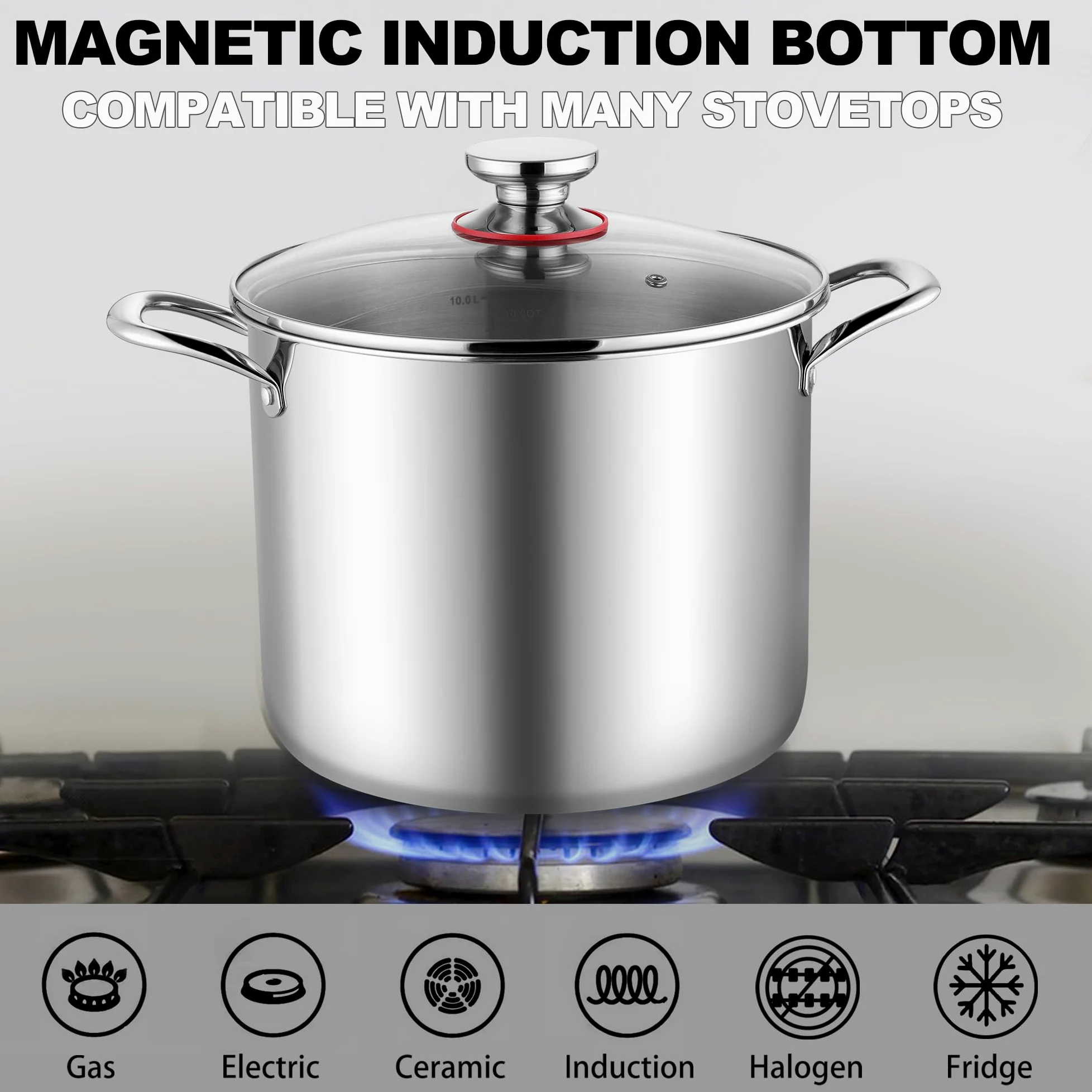 Joyfair Olla grande de acero inoxidable de tres capas de 10 L con tapa de vidrio, inducción, gas, cerámica, eléctrica, halógena, para cocinar a fuego lento, asas remachadas y fácil de limpiar