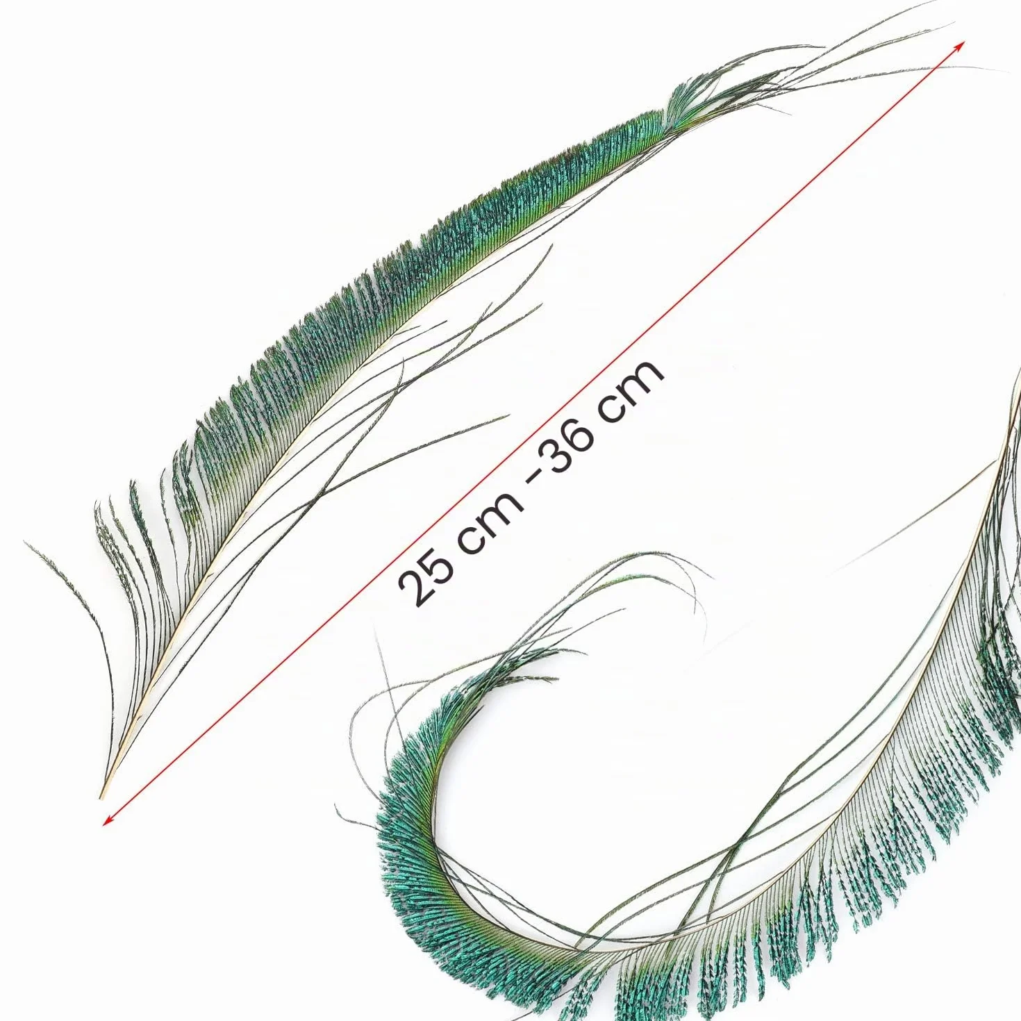 Mwoot 30pcs Natural Pavo Real Plumas de espada, Plumas de Pavo Real para la decoración del hogar DIY Jewelry Party Arte (25-35CM)