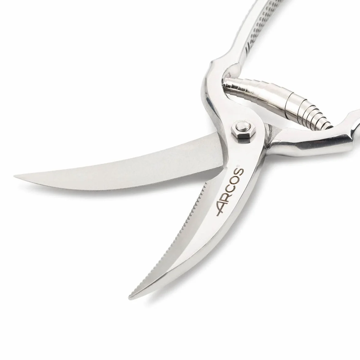 Arcos Serie Ecopro - Tijeras para pollo - Hoja de Acero Inoxidable Forjado de 250 mm - Mango de Acero Inoxidable Forjado - Color Plata